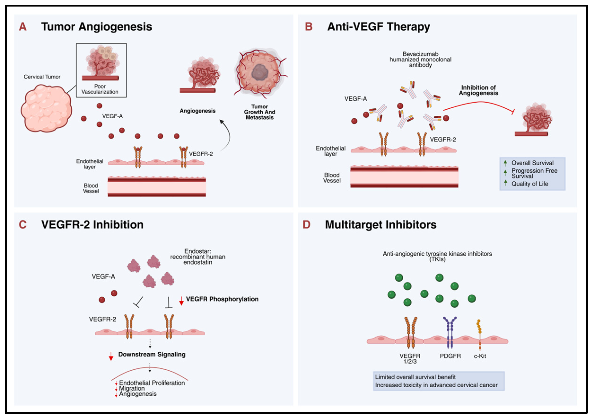 Molecular Targets of Cervical Cancer and Its Microenvironment: Advances ...