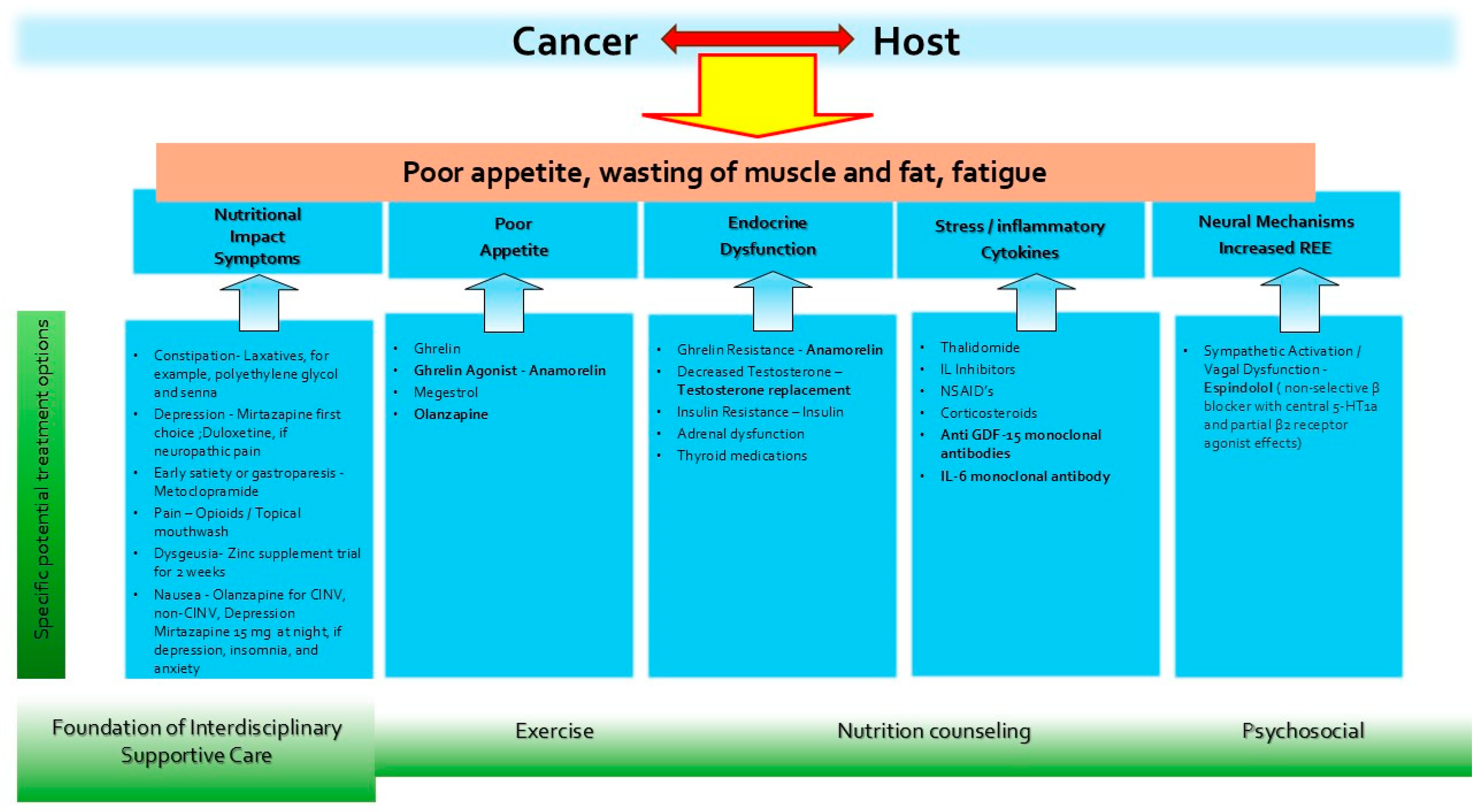 The Role of New Agents and Supportive Care in a Multimodal Approach to ...