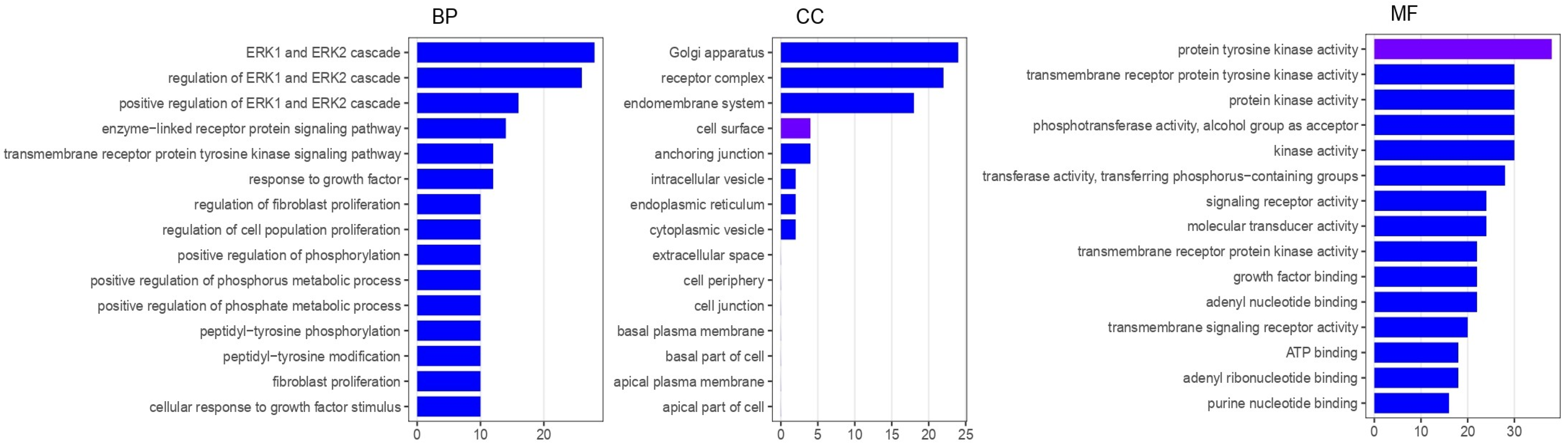 Polyploid and Chromosomal Copy Number Gain Cells in Metastatic Colon ...