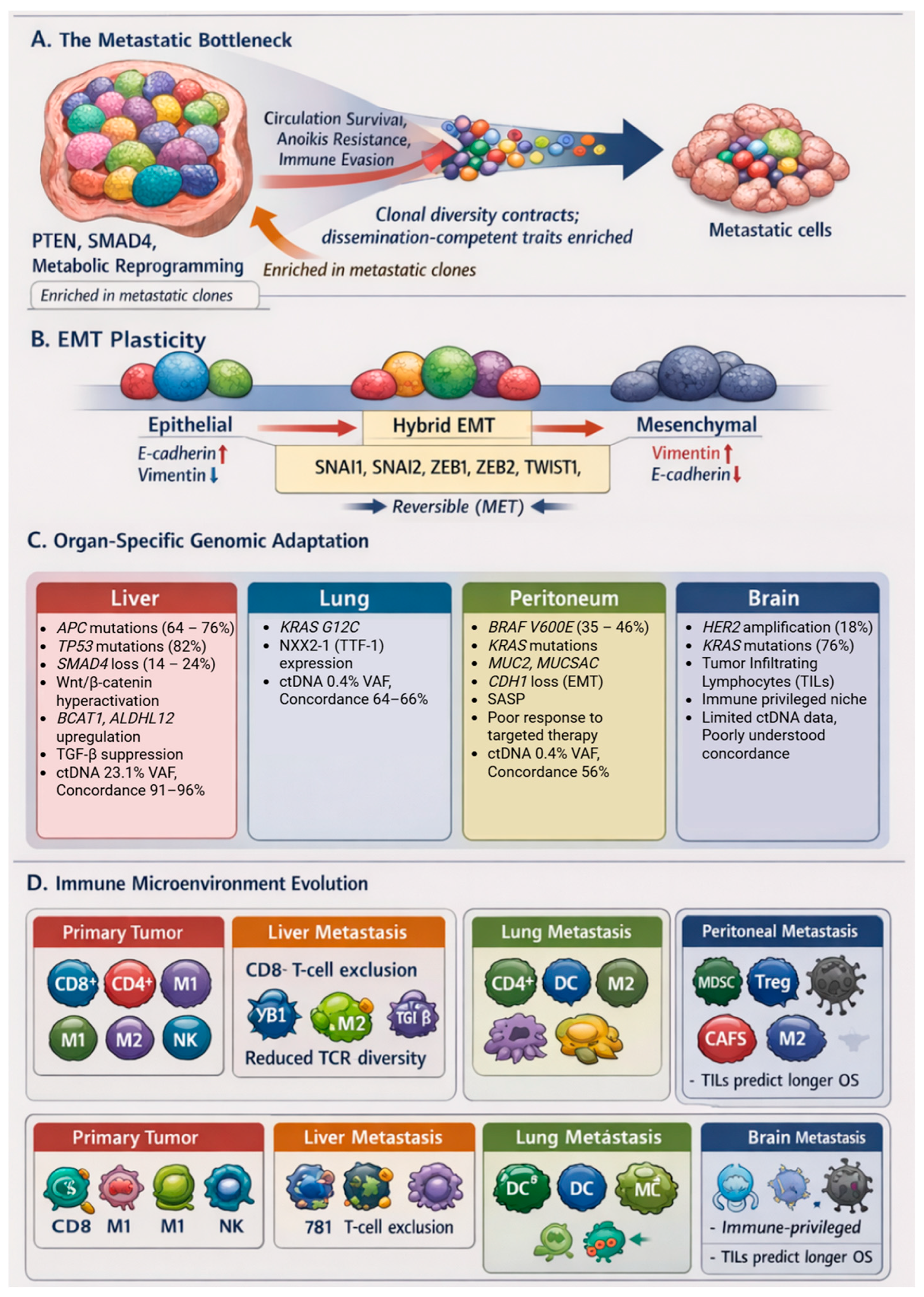 Metastatic Odyssey: Decoding the Genomic Journey from Primary ...