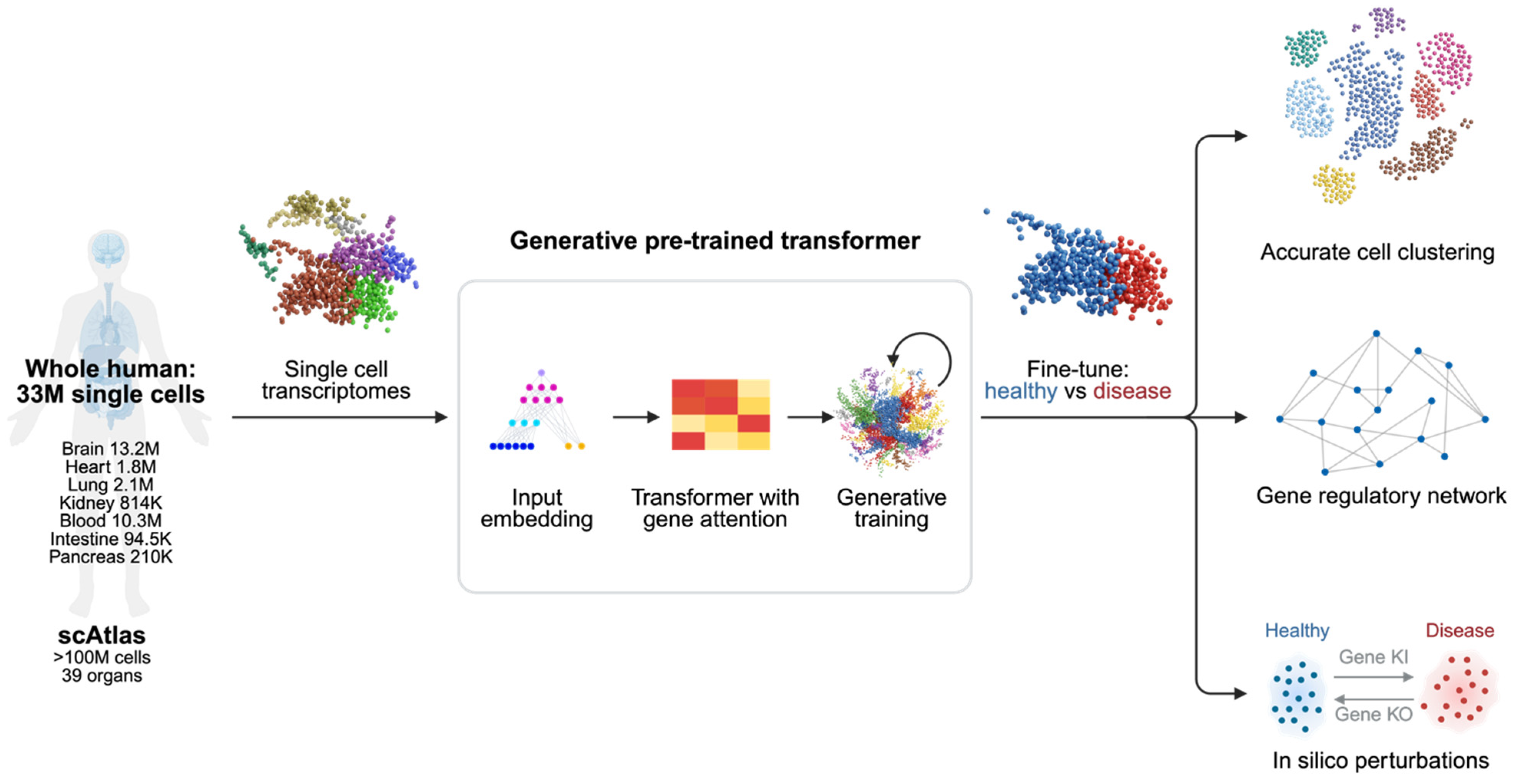 Integrating Artificial Intelligence, Circulating Tumor DNA, and Real ...
