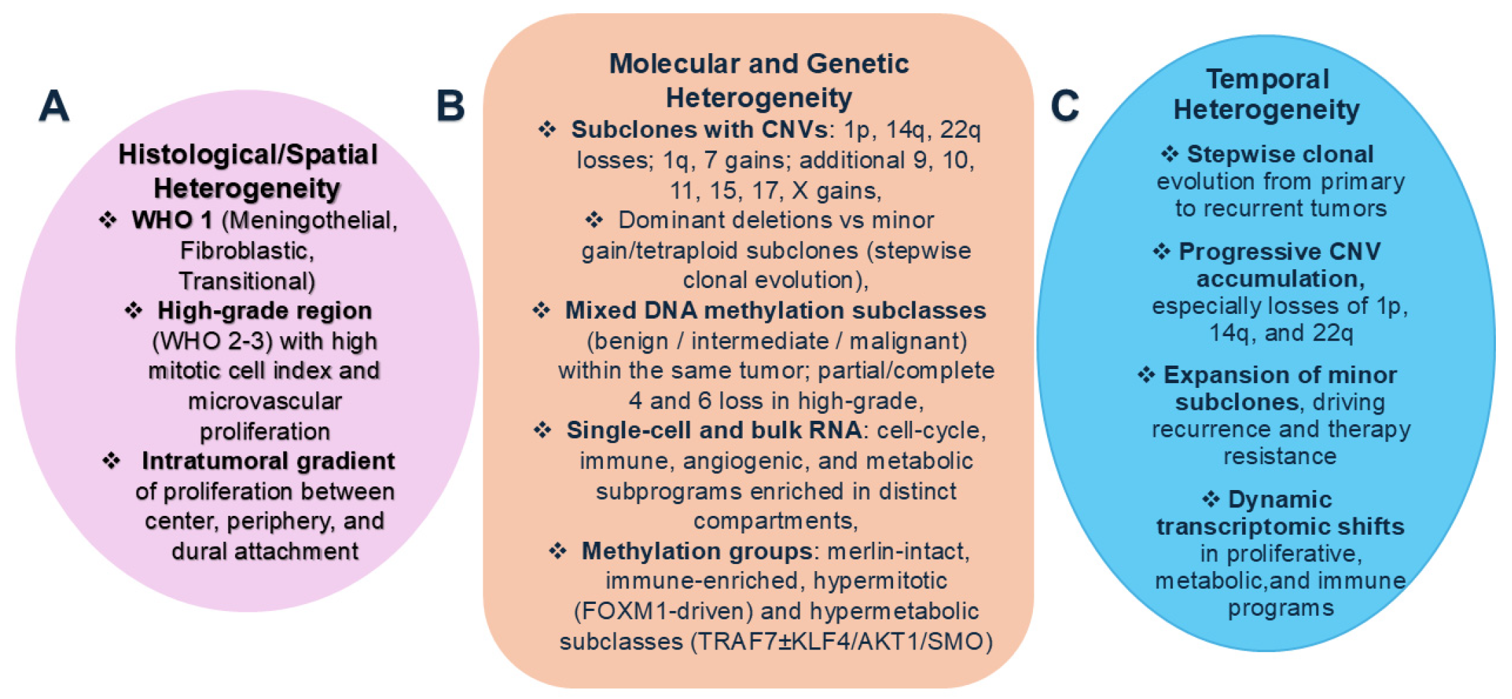 Histo-Molecular Intratumoral Heterogeneity in Meningiomas: A Narrative ...
