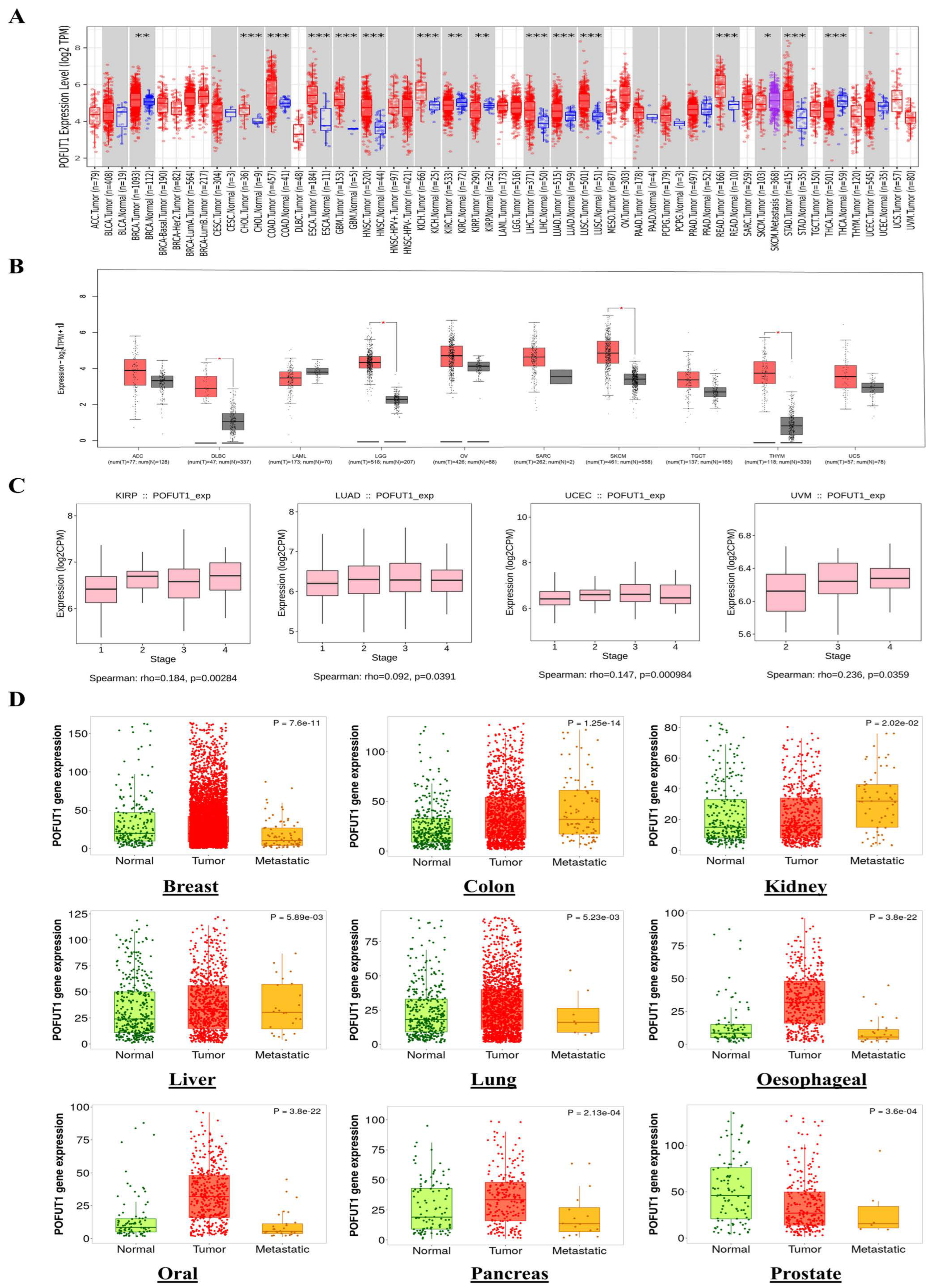 Comprehensive Pan-Cancer Analysis Identifies POFUT1 as a Prognostic ...