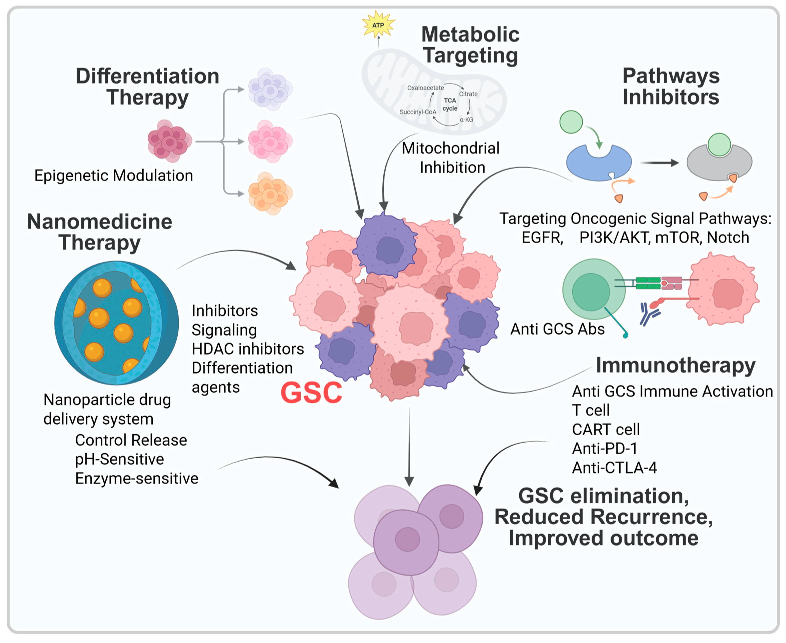 Targeting Glioblastoma Stem Cells: Therapeutic Strategies and Clinical ...
