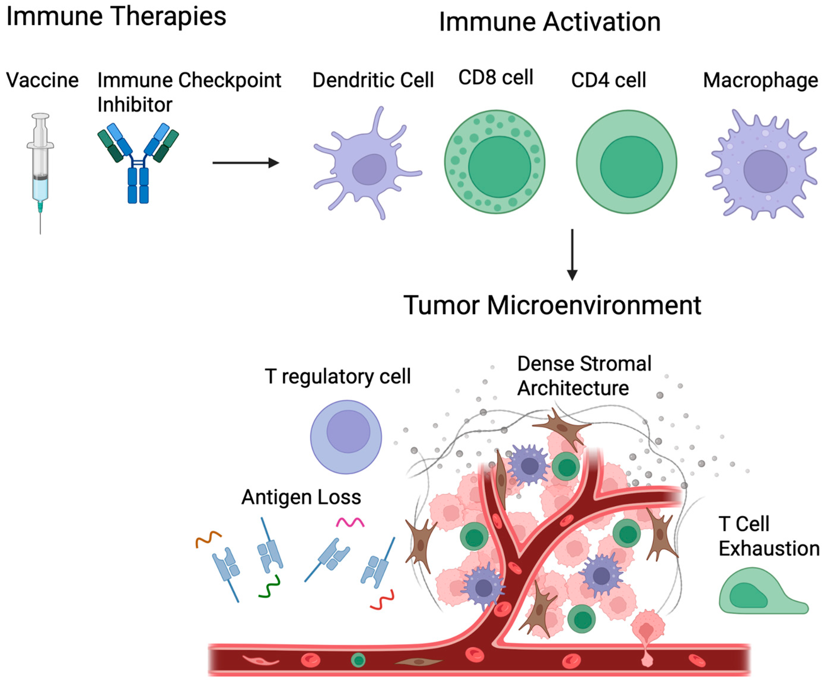 Therapeutic Cancer Vaccines in Gastrointestinal Malignancies: Advances ...
