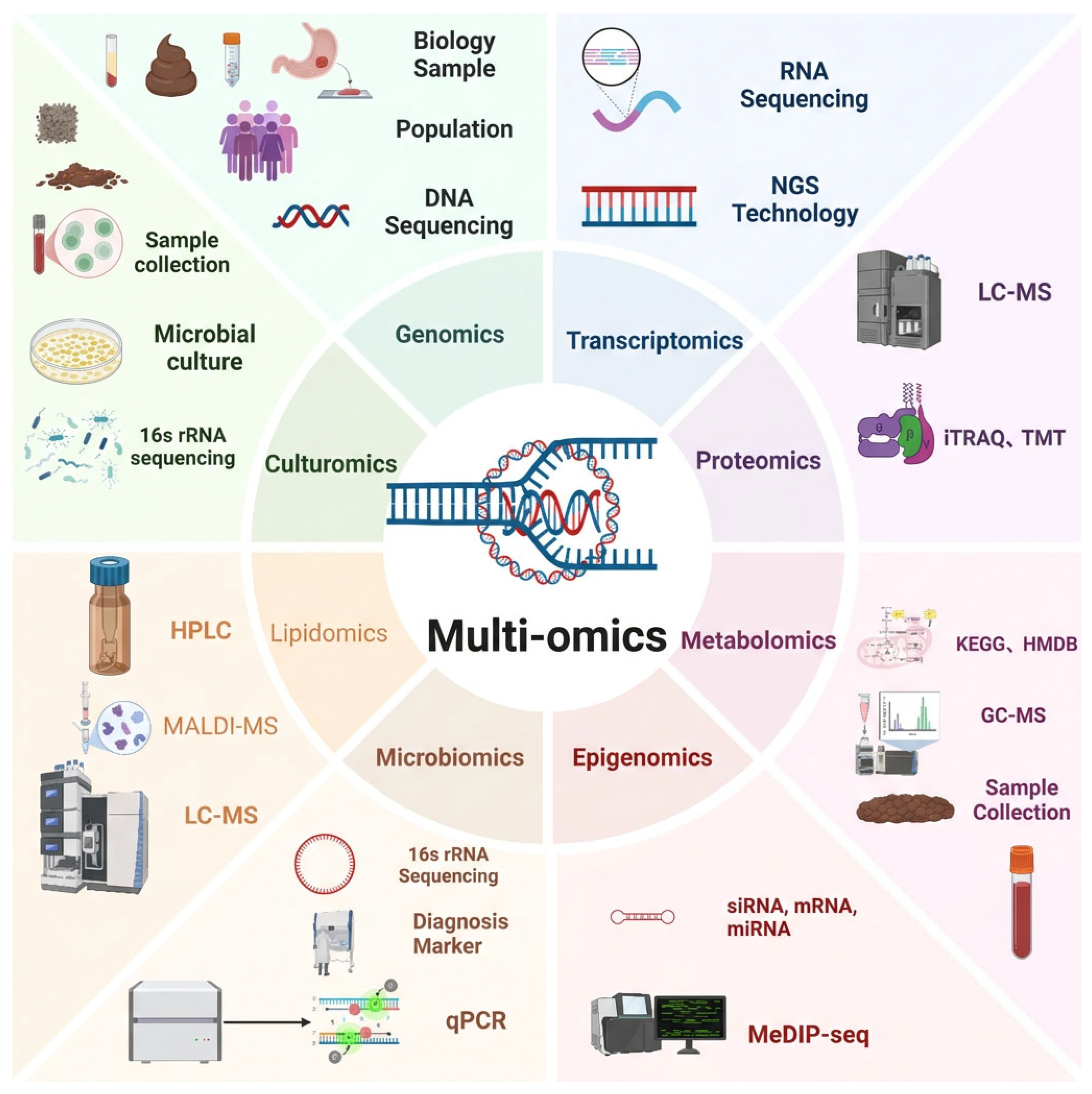 Multi Omics Integration in Colorectal Cancer: From Molecular Insights ...