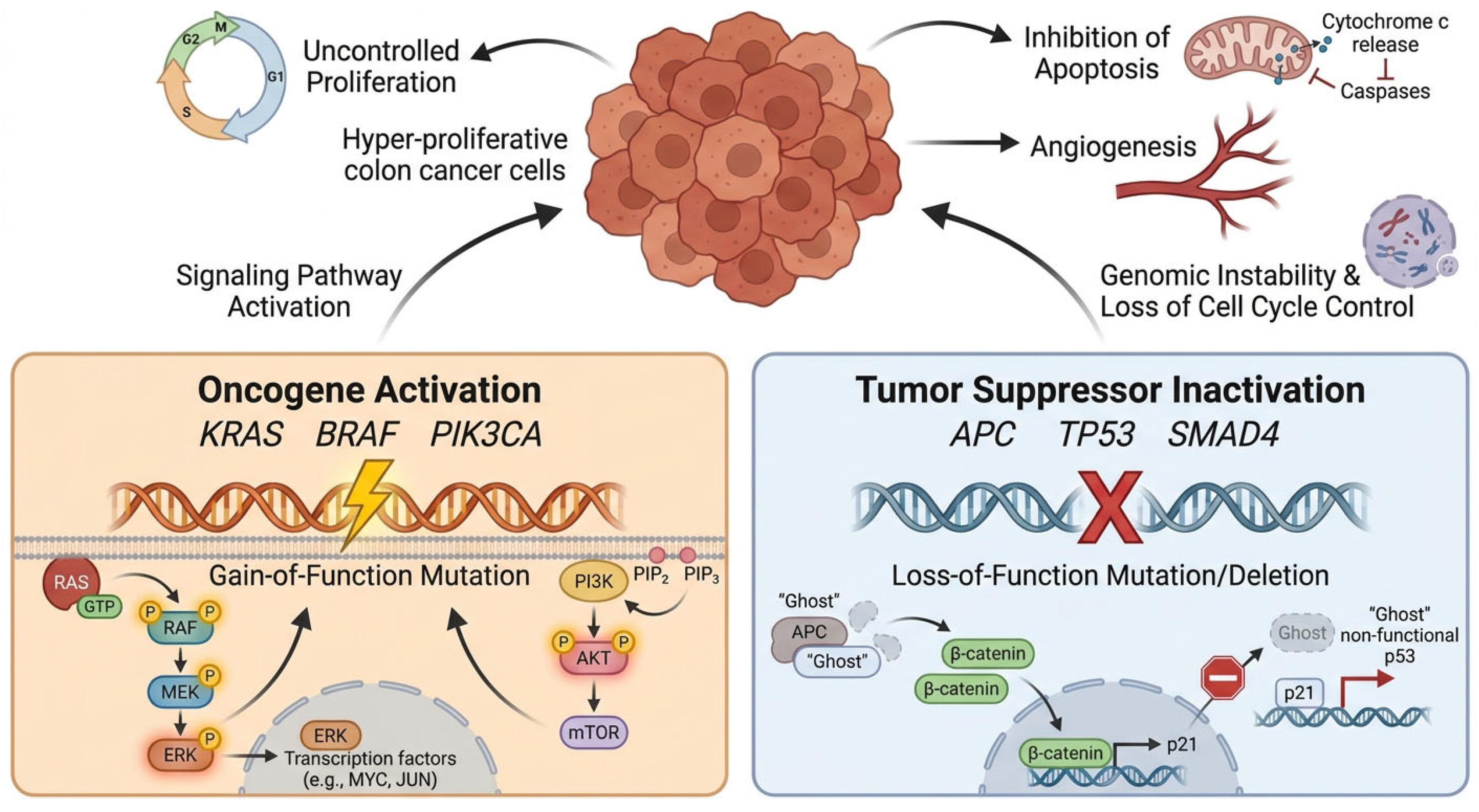 Multi Omics Integration in Colorectal Cancer: From Molecular Insights ...