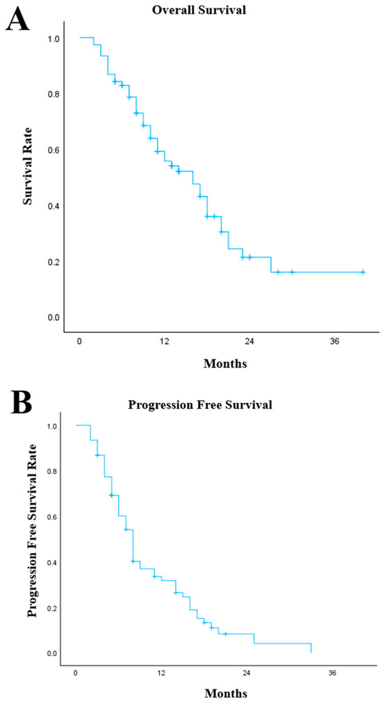 Real-Life Outcomes of First-Line Palliative Chemoimmunotherapy in Oesophago-Gastric Cancers: A Multi-Centre Retrospective Cohort Study