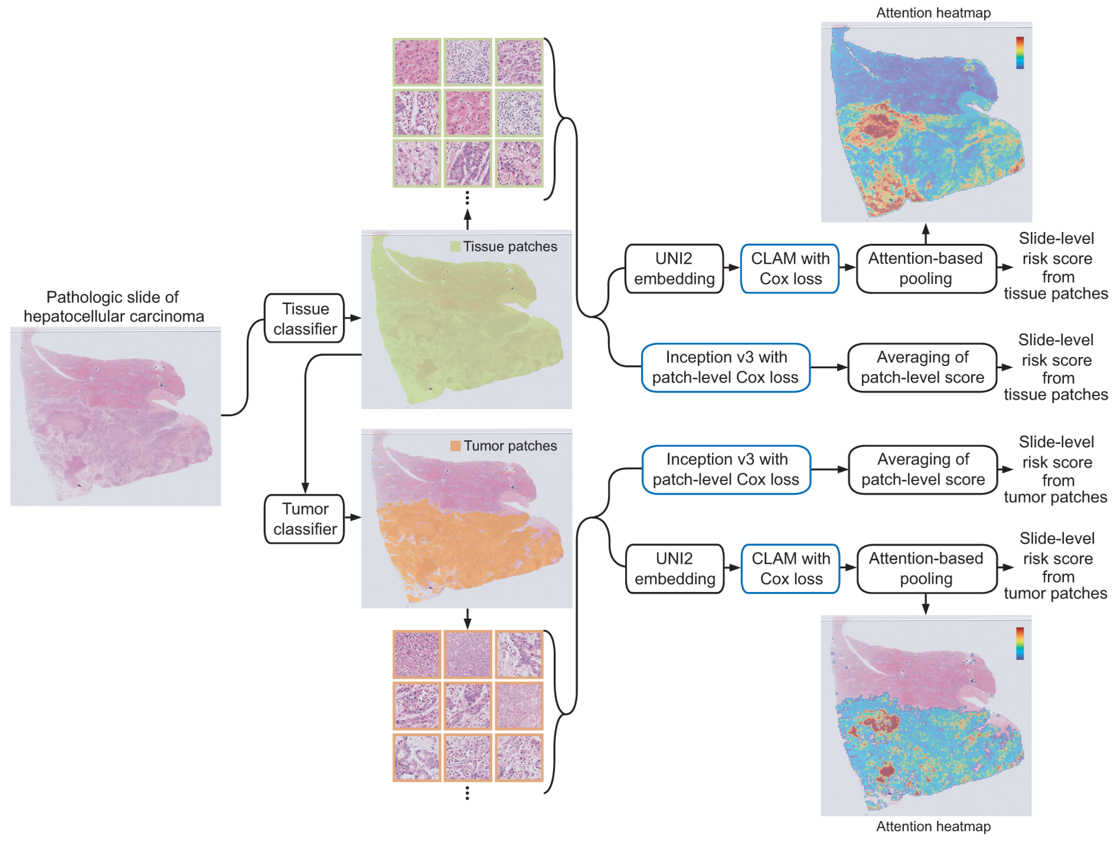 Comparative Analysis of Deep Learning Approaches for Histopathology ...