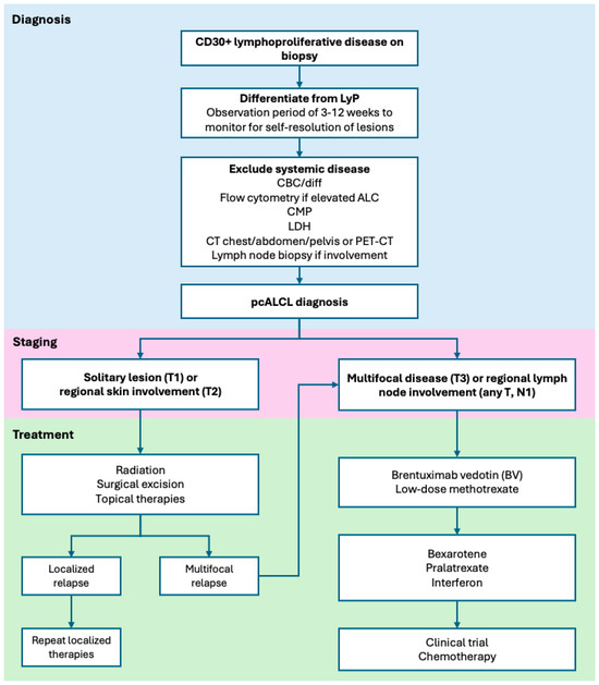 Primary Cutaneous Anaplastic Large Cell Lymphoma: A Review of Diagnosis and Treatment for the General Oncologist