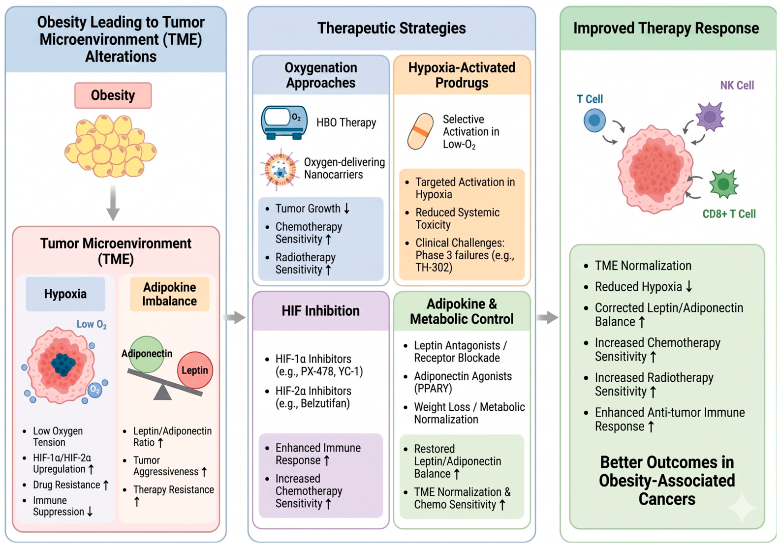Understanding the Interplay Between Obesity and Cancer: From Mechanisms ...