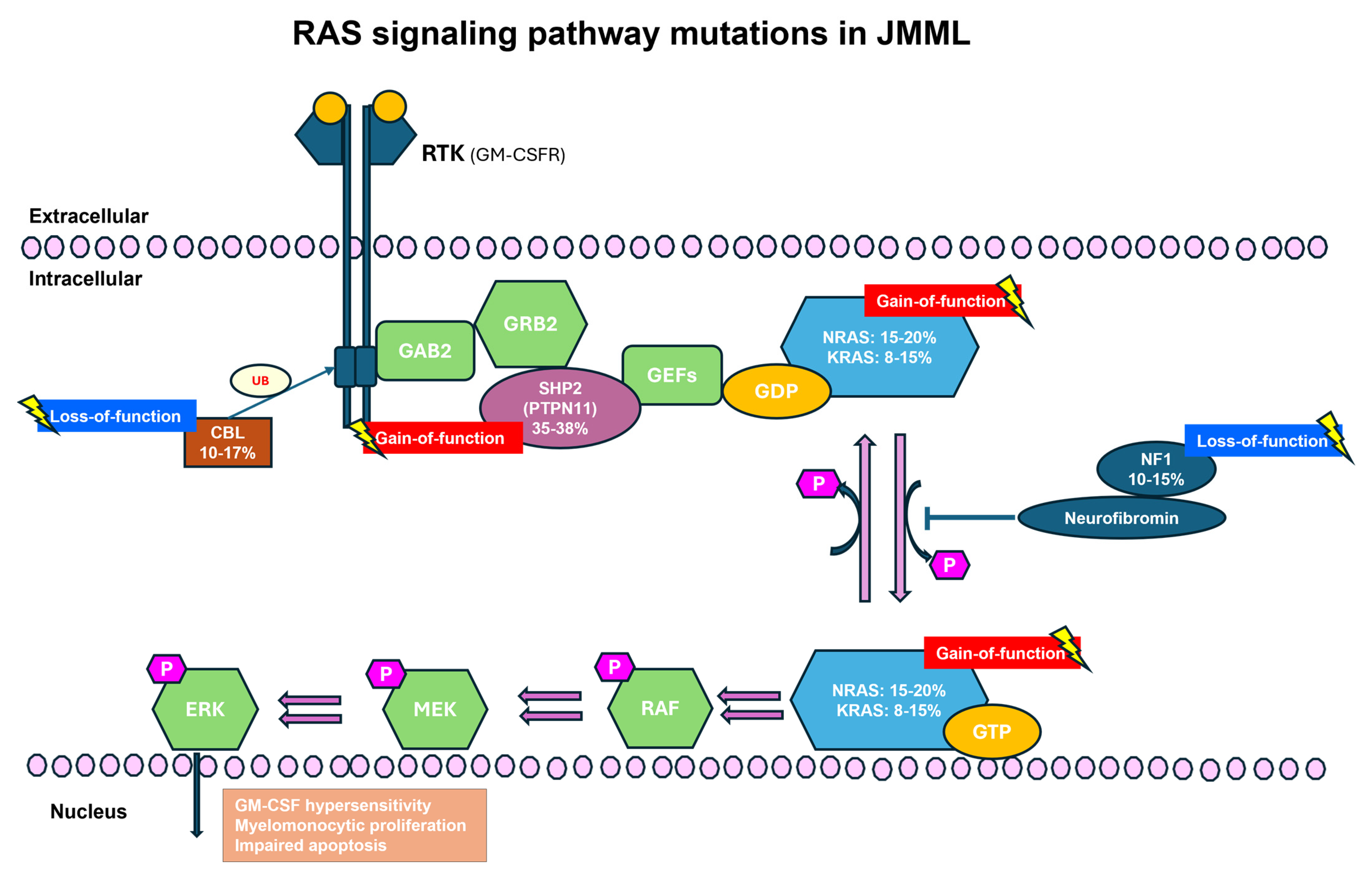Molecular Advances in Juvenile Myelomonocytic Leukemia and Associated ...