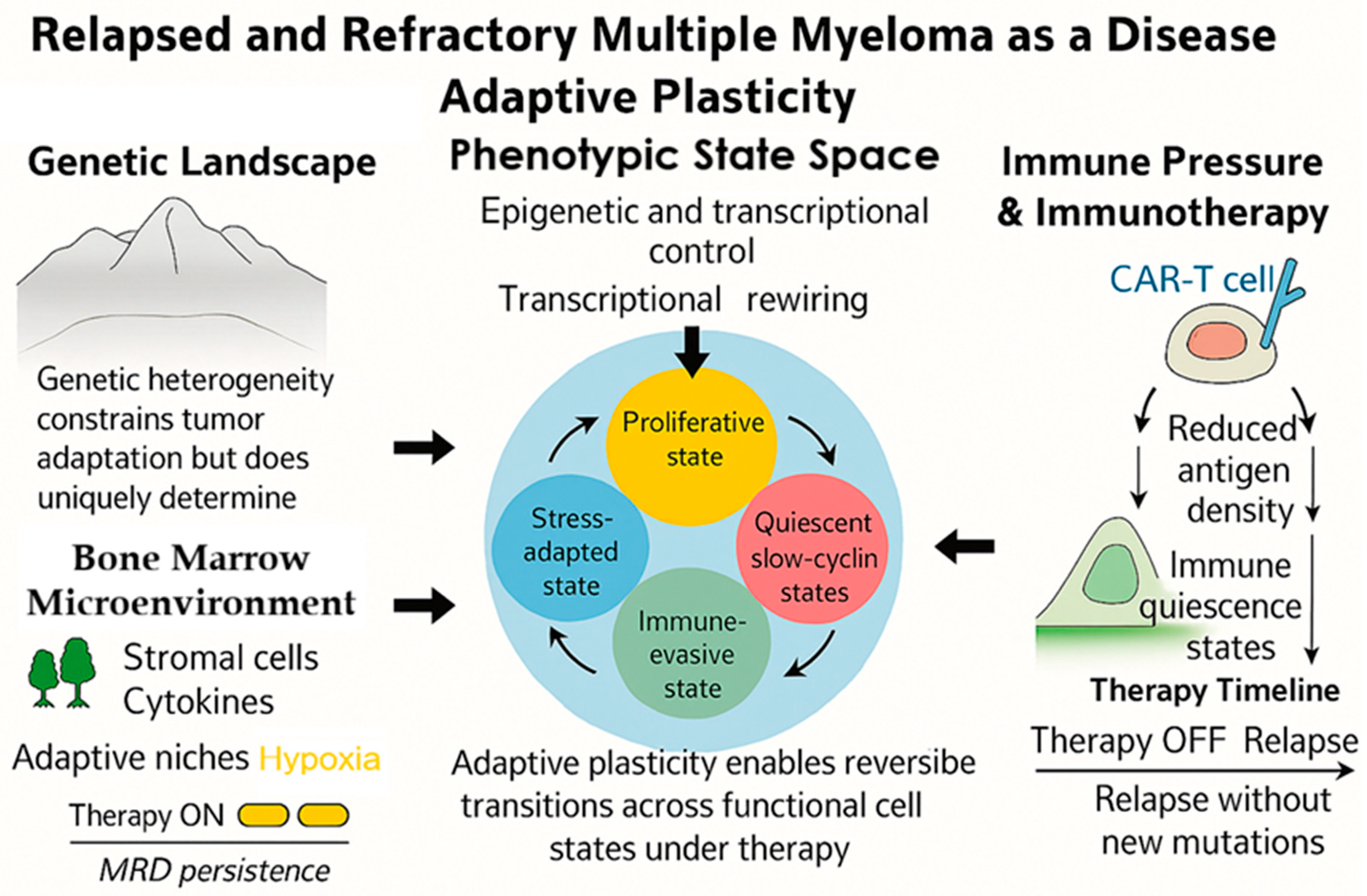 The Shape-Shifting Myeloma: Adaptive Plasticity as a Hallmark of ...