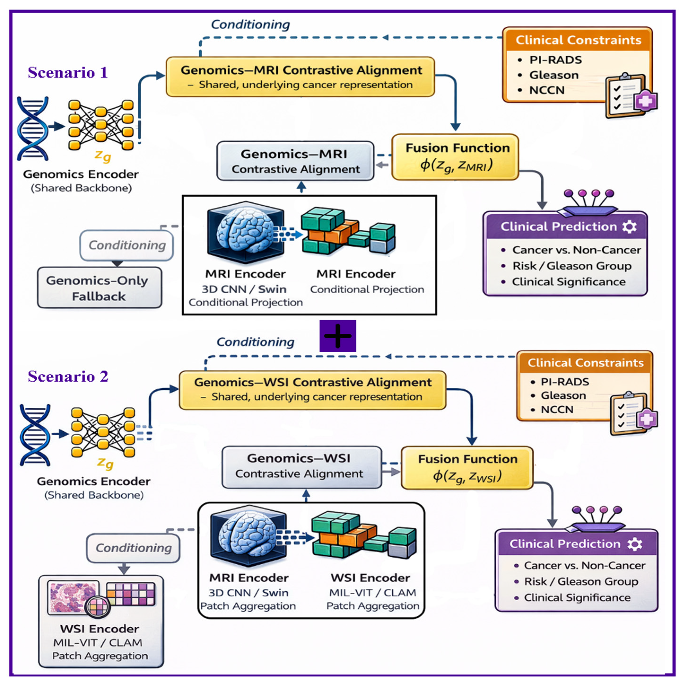 A Genomics-Guided Multimodal Contrastive Learning Framework for ...