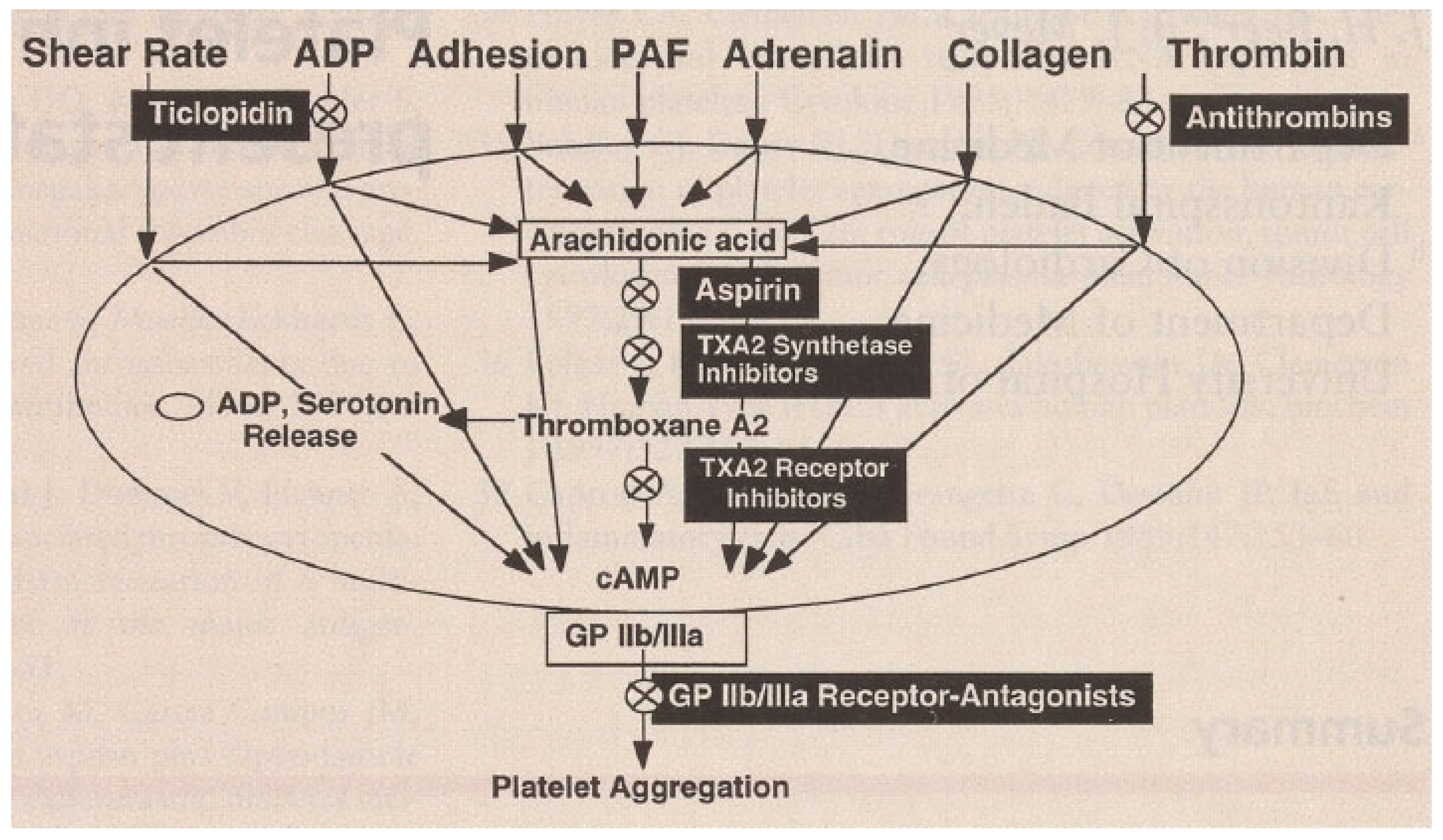 Platelet Inhibitory Drugs: Present Status and New Developments