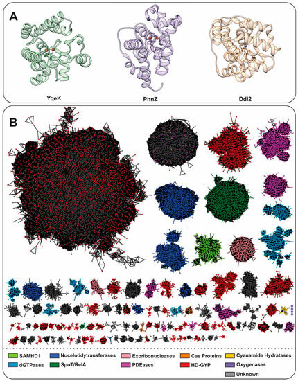Hdod The HD-Domain Metalloprotein Superfamily: An Apparent Common Protein ...