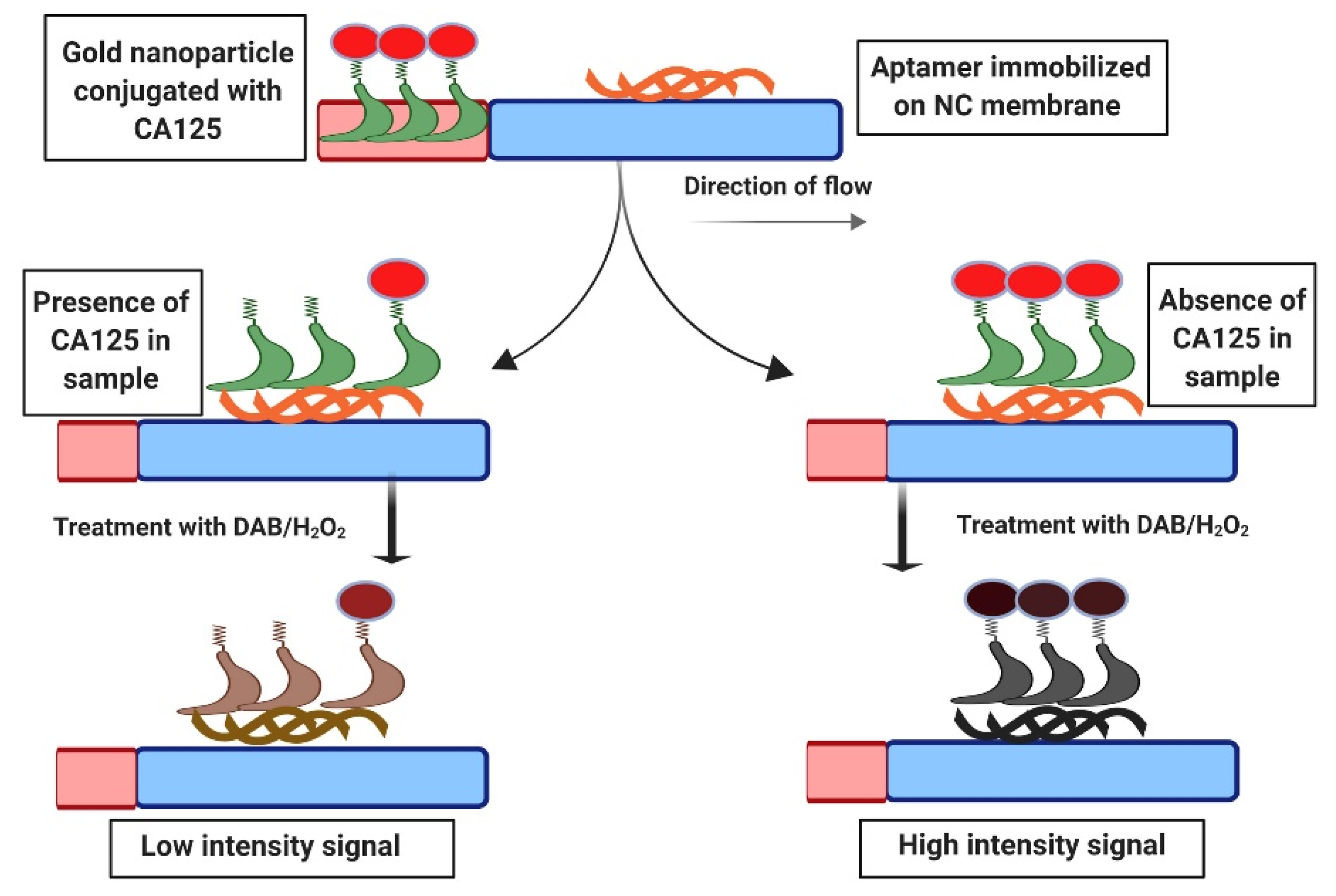 Catalysts | Free Full-Text | Gold Nanozymes: Smart Hybrids with ...