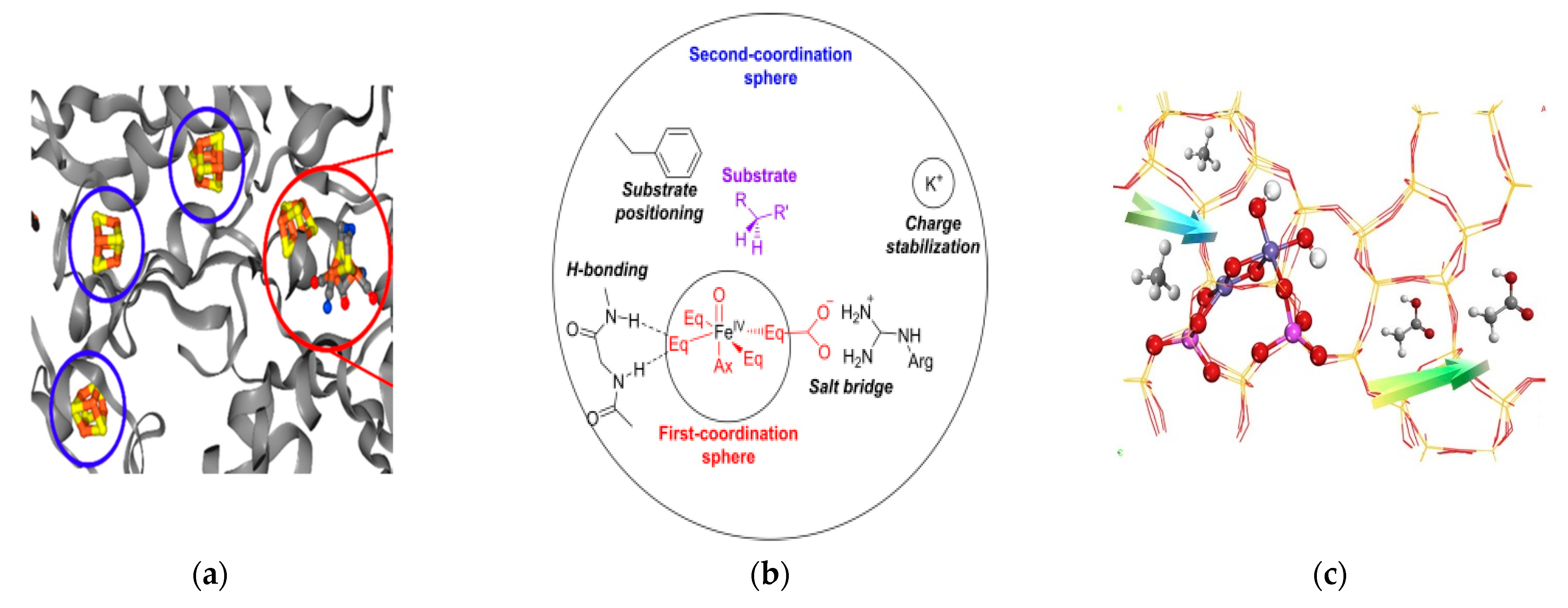 Radical‐Type Reactivity and Catalysis by Single‐Electron Transfer to or  from Redox‐Active Ligands - van der Vlugt - 2019 - Chemistry – A European  Journal - Wiley Online Library