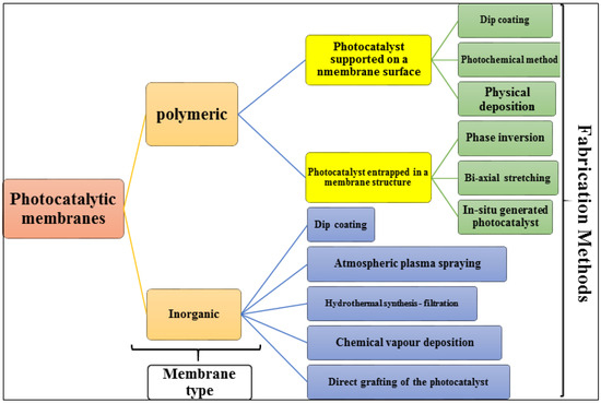タン Notoginsenoside R1 treatment facilitated Nrf2 nuclear