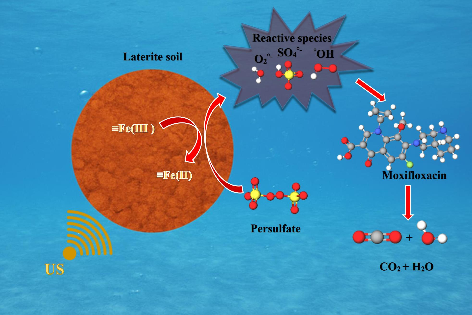 Mechanistic Insights into Radical-Mediated Moxifloxacin