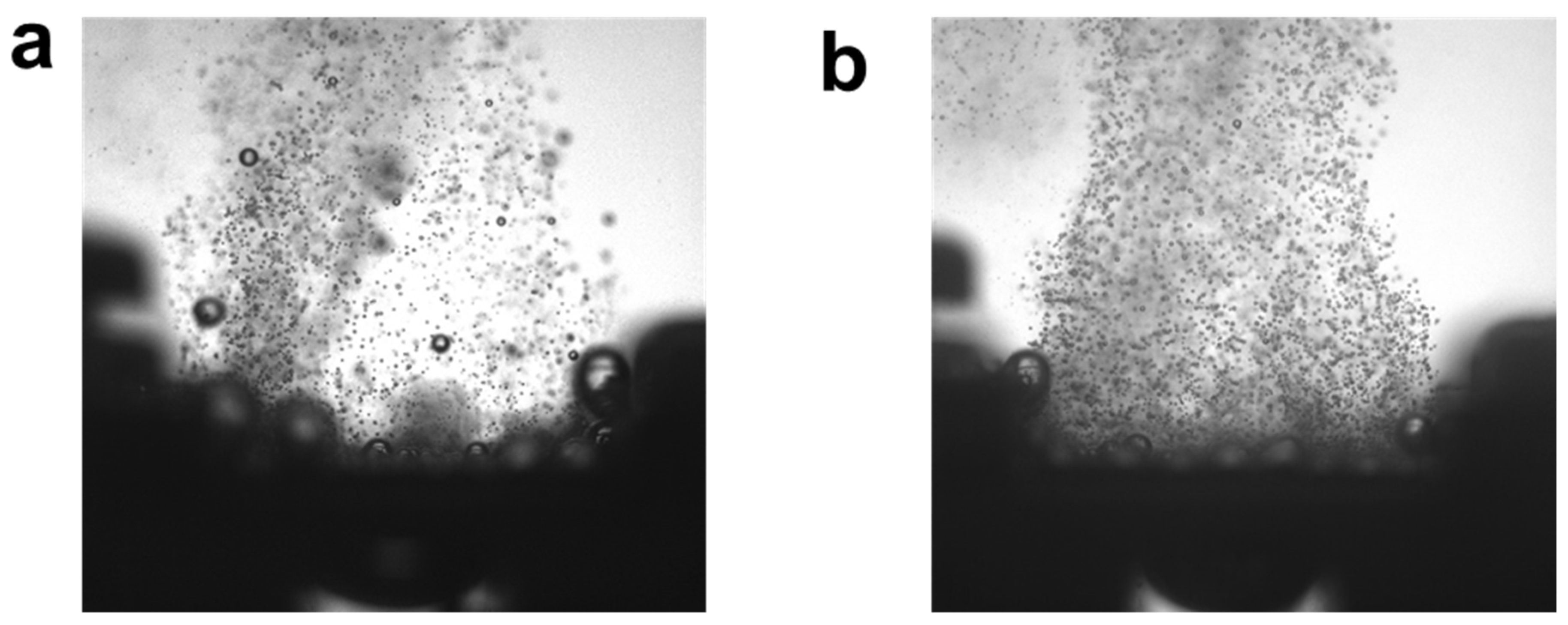 Improvements of Both Anode Catalyst Layer and Porous Transport Layer ...