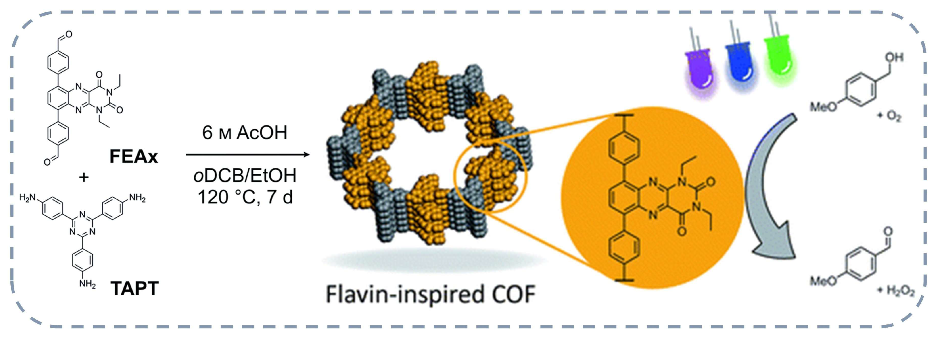 Rational Design and Advancement of Metal-Free Covalent Organic ...