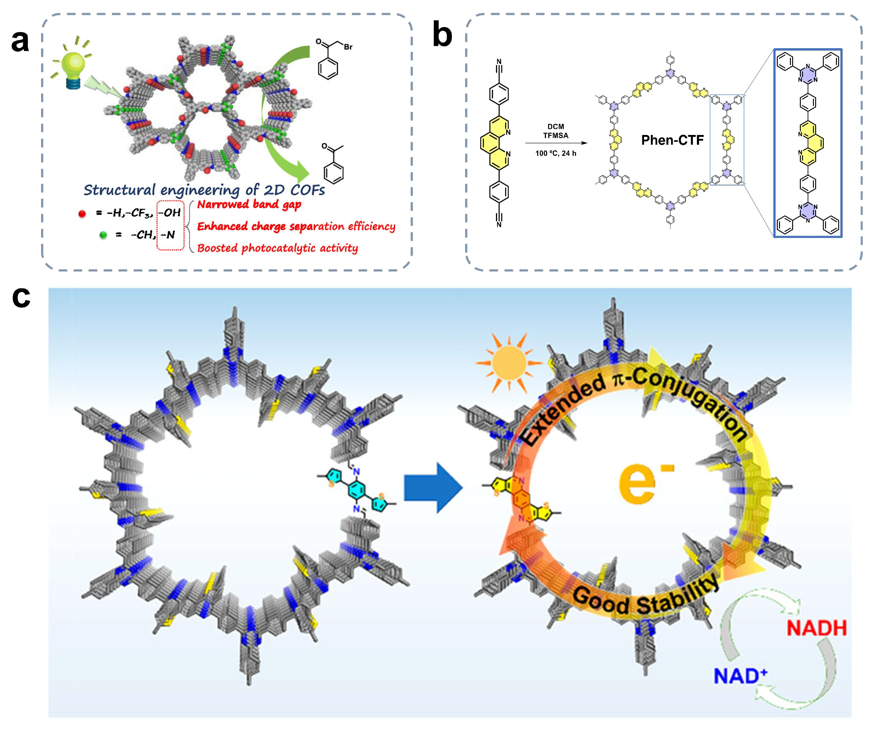 Rational Design and Advancement of Metal-Free Covalent Organic ...