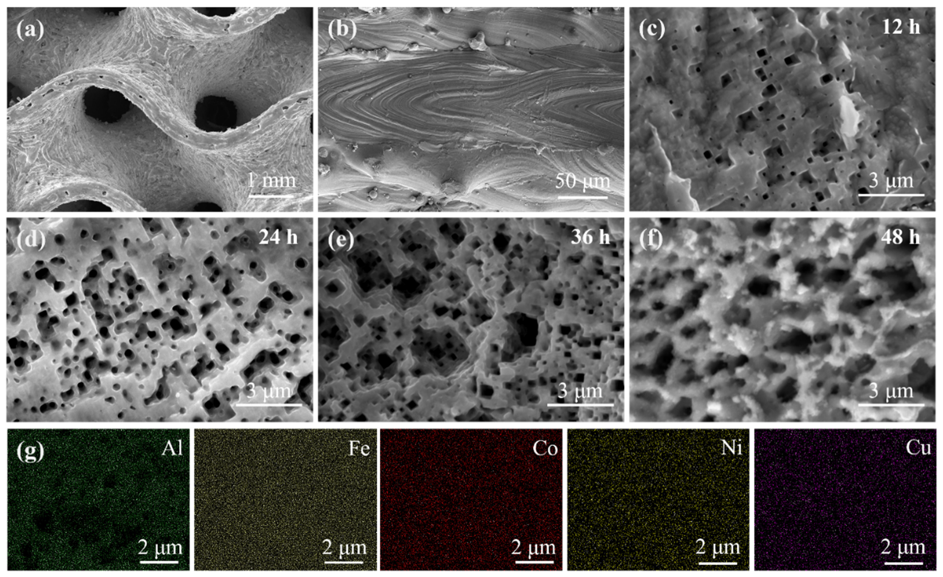 Microstructure and Catalytic Activity of Hierarchical Porous HEA ...