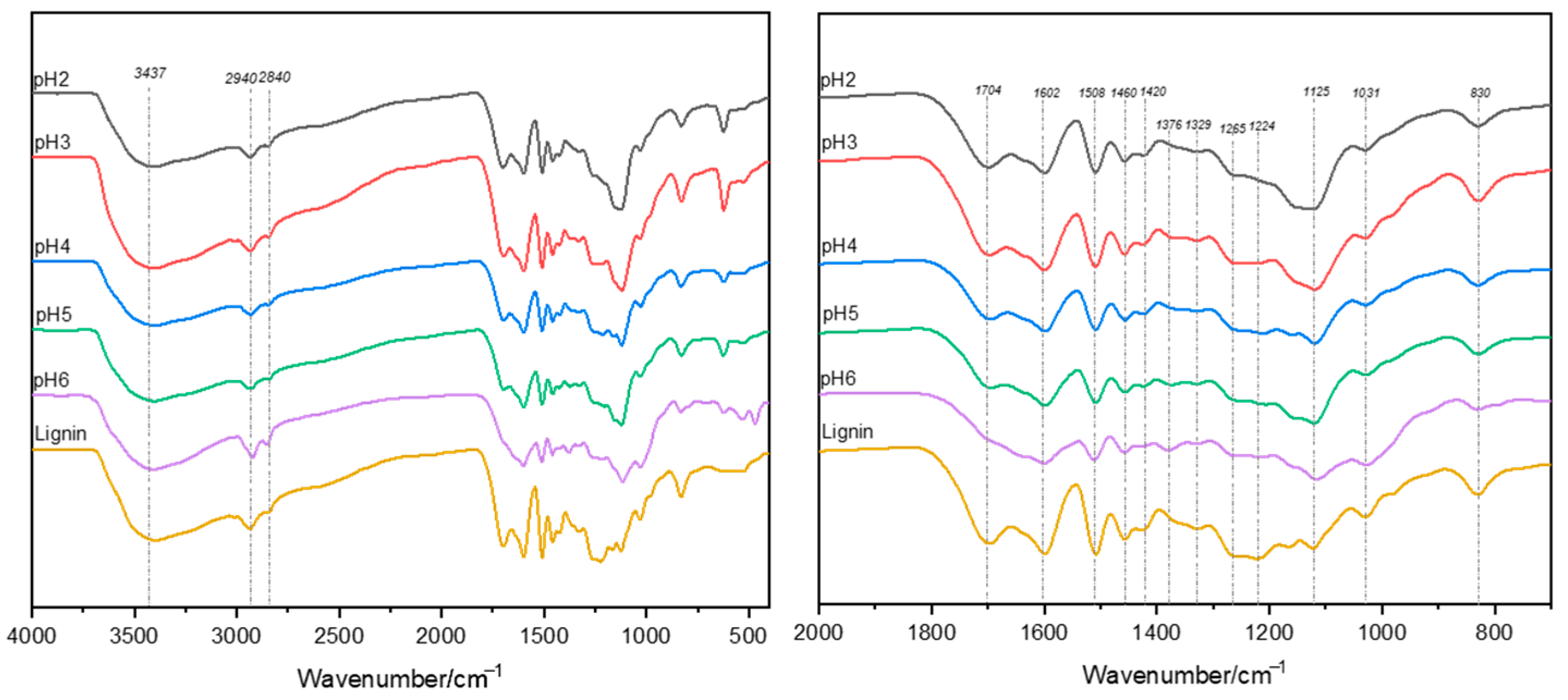Effect of Lignin Molecular Weight on Product Distribution: A ...