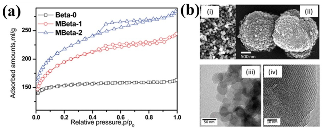 Zeolite-Based Heterogeneous Catalysts for Biodiesel Production: Recent ...