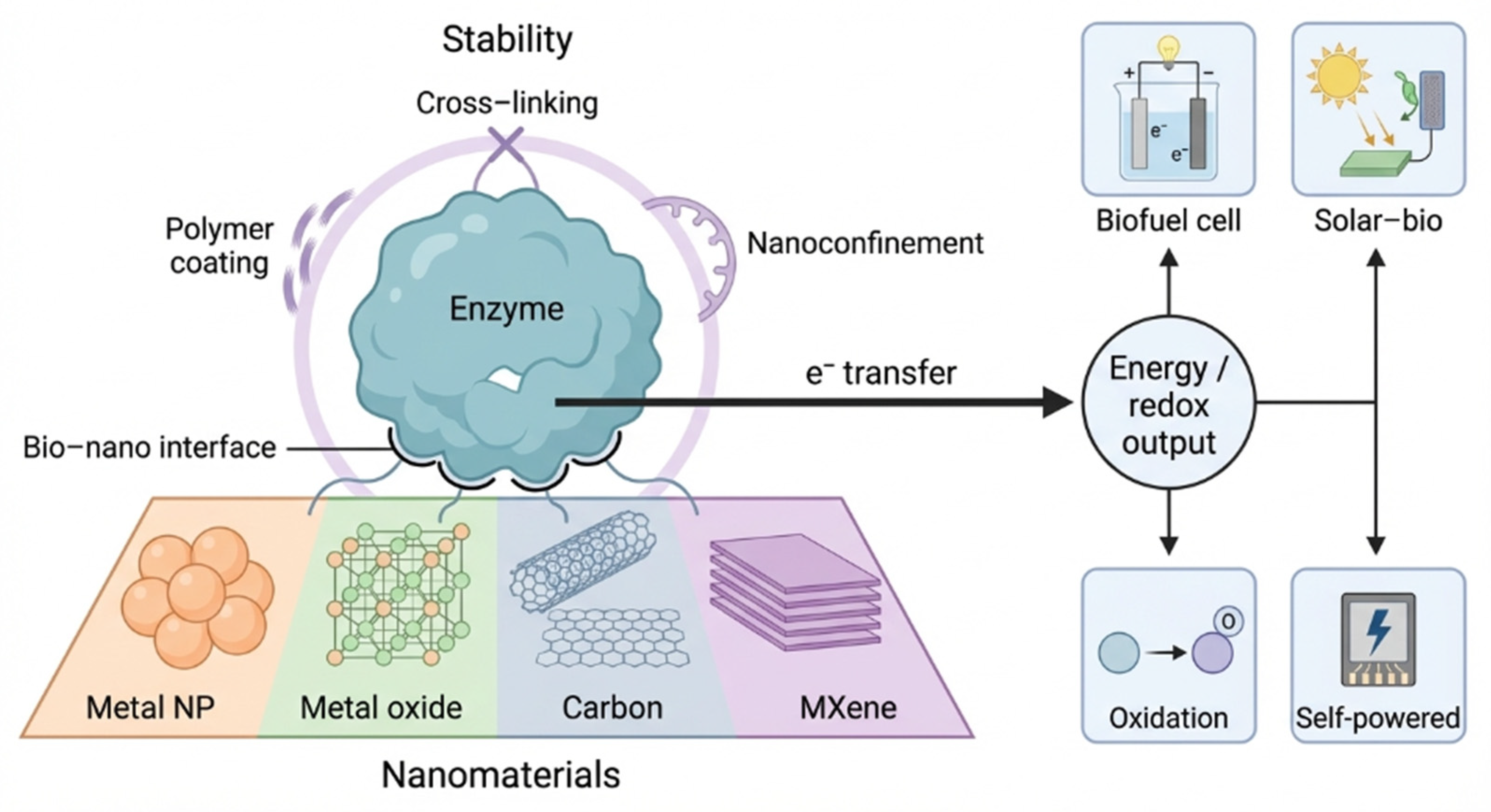 Nano–Bio Hybrid Catalysts: Enzyme–Nanomaterial Interfaces for ...