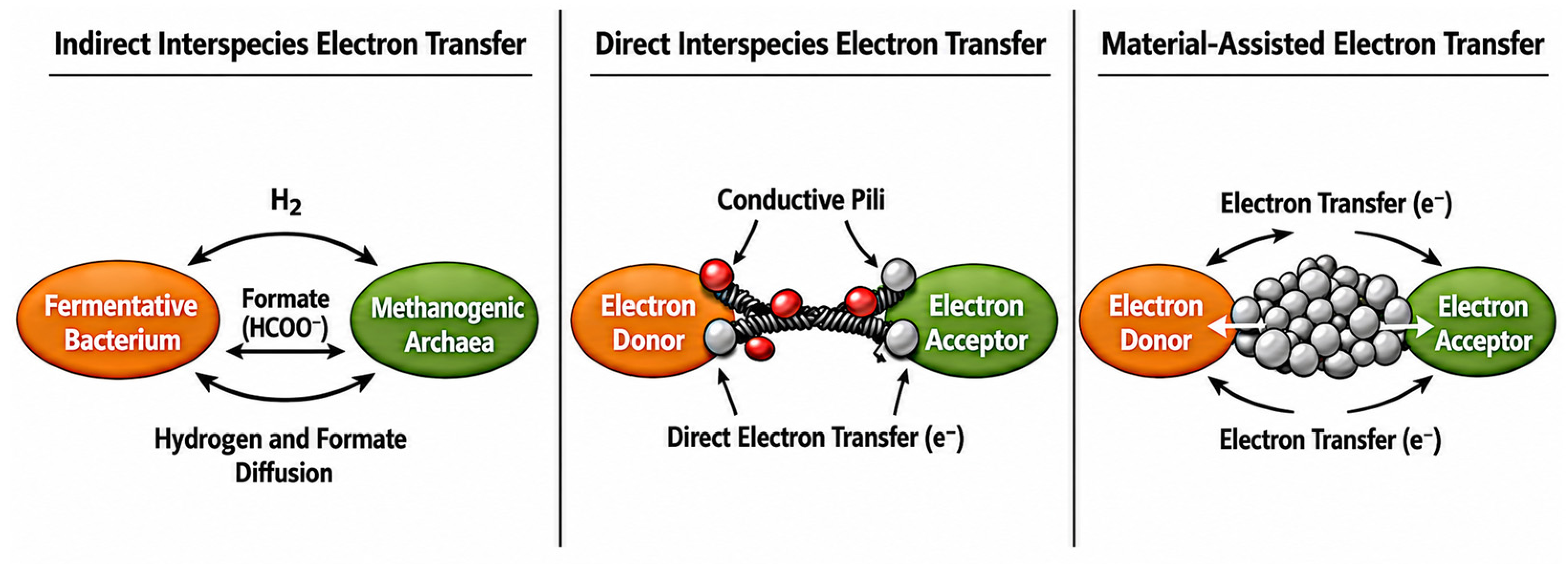 Conductive Materials as Promoters of Direct Interspecies Electron ...