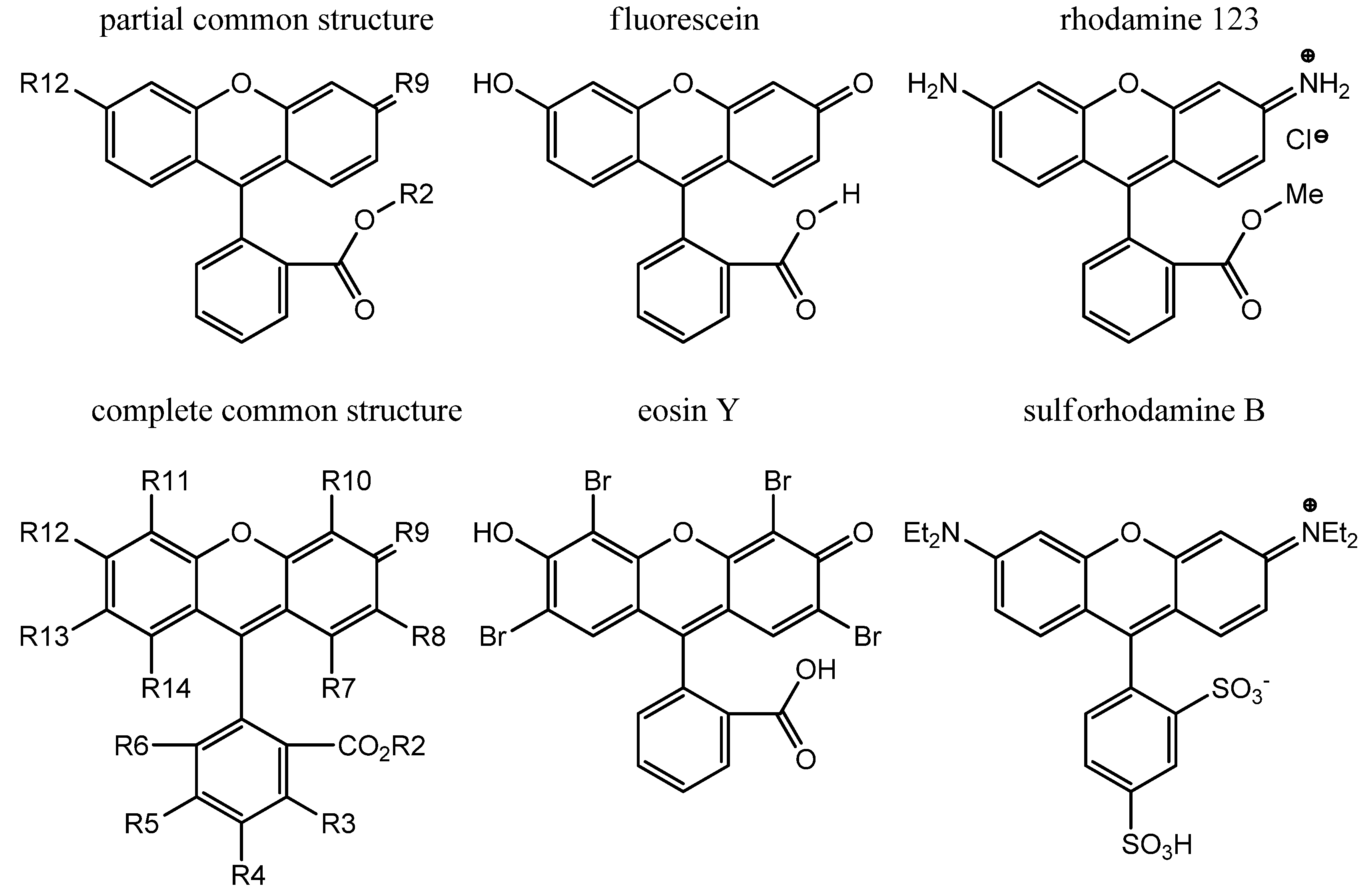 Chemical structures of Fluorescein at different pH values of