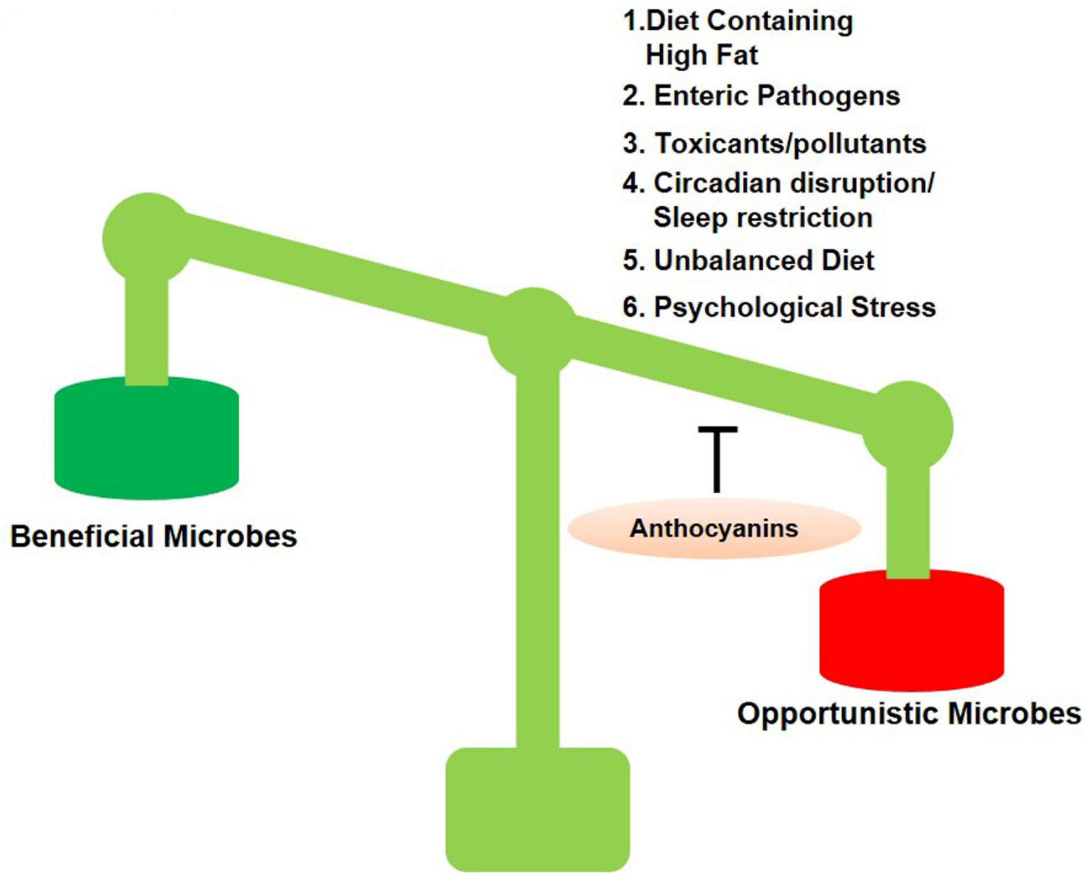 Cells | Free Full-Text | Gut Microbiota, Its Role in Induction of 