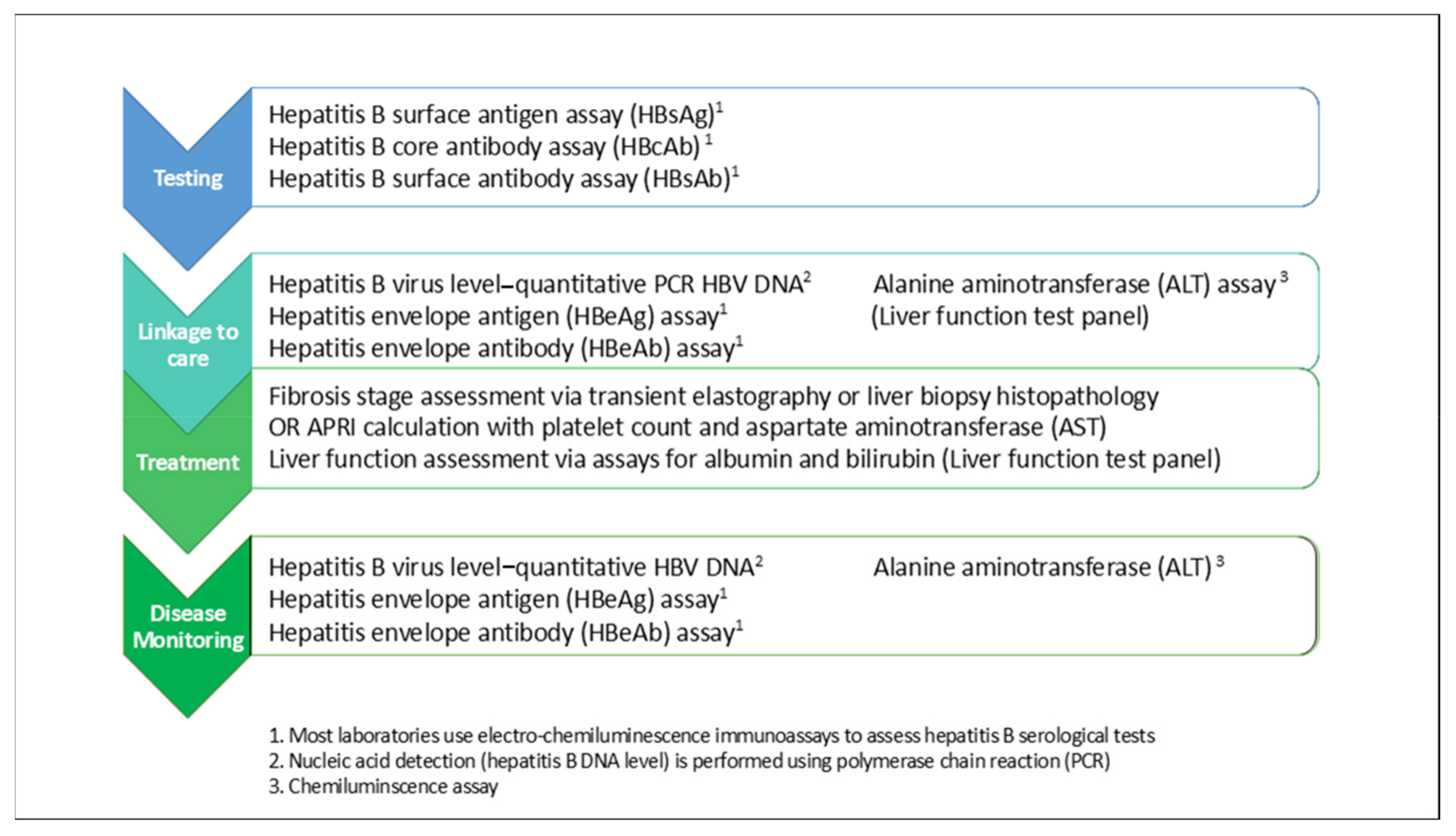 Cells Free Full Text Point of Care Tests For Hepatitis B An Overview