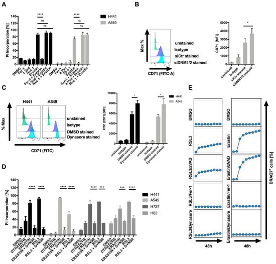 Cells | Free Full-Text | Dynasore Blocks Ferroptosis through Combined ...