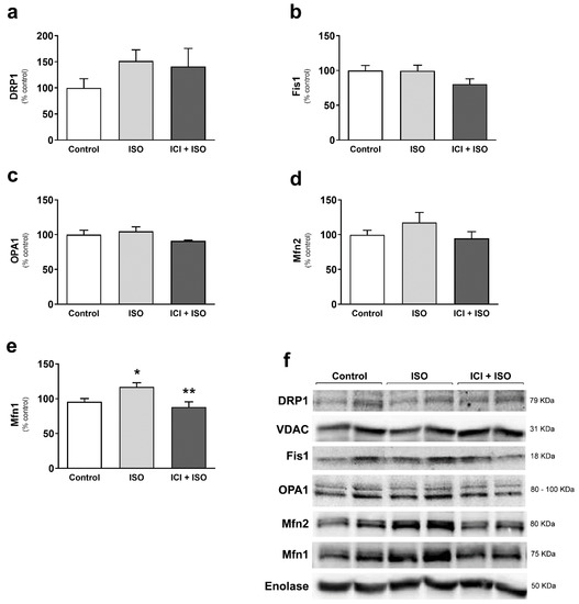 Cells Special Issue Mitochondrial Dysfunction In Degenerative Diseases