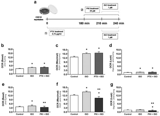 Cells Special Issue Mitochondrial Dysfunction In Degenerative Diseases