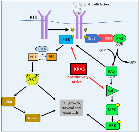 Cells | Free Full-Text | The Oncogenic Signaling Disruptor, NDRG1 ...