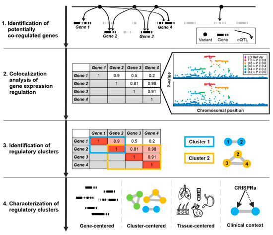 Cells | Free Full-Text | Assigning Co-Regulated Human Genes and ...