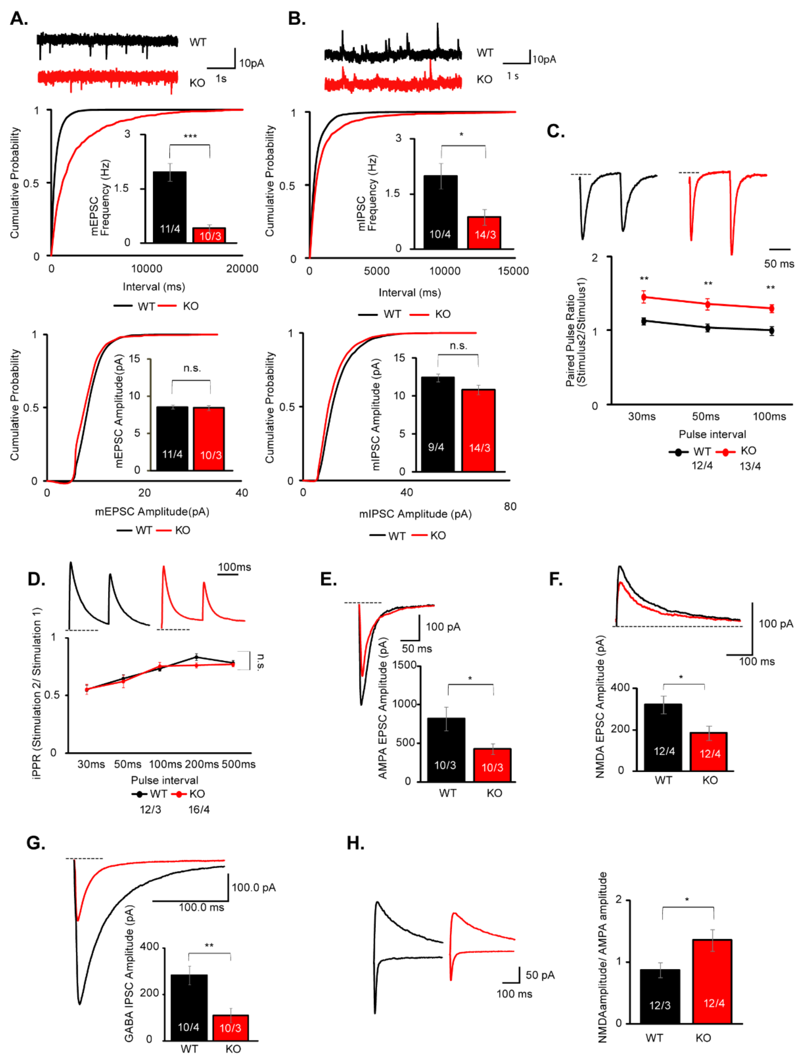 Cells | Free Full-Text | IQSEC2 Deficiency Results in Abnormal 