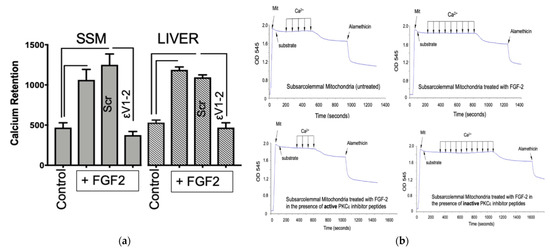 A Cardiac Mitochondrial FGFR1 Mediates the Antithetical Effects of FGF2 ...