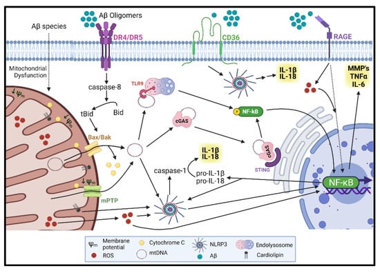 Cells | Free Full-Text | Dissecting the Crosstalk between Endothelial ...