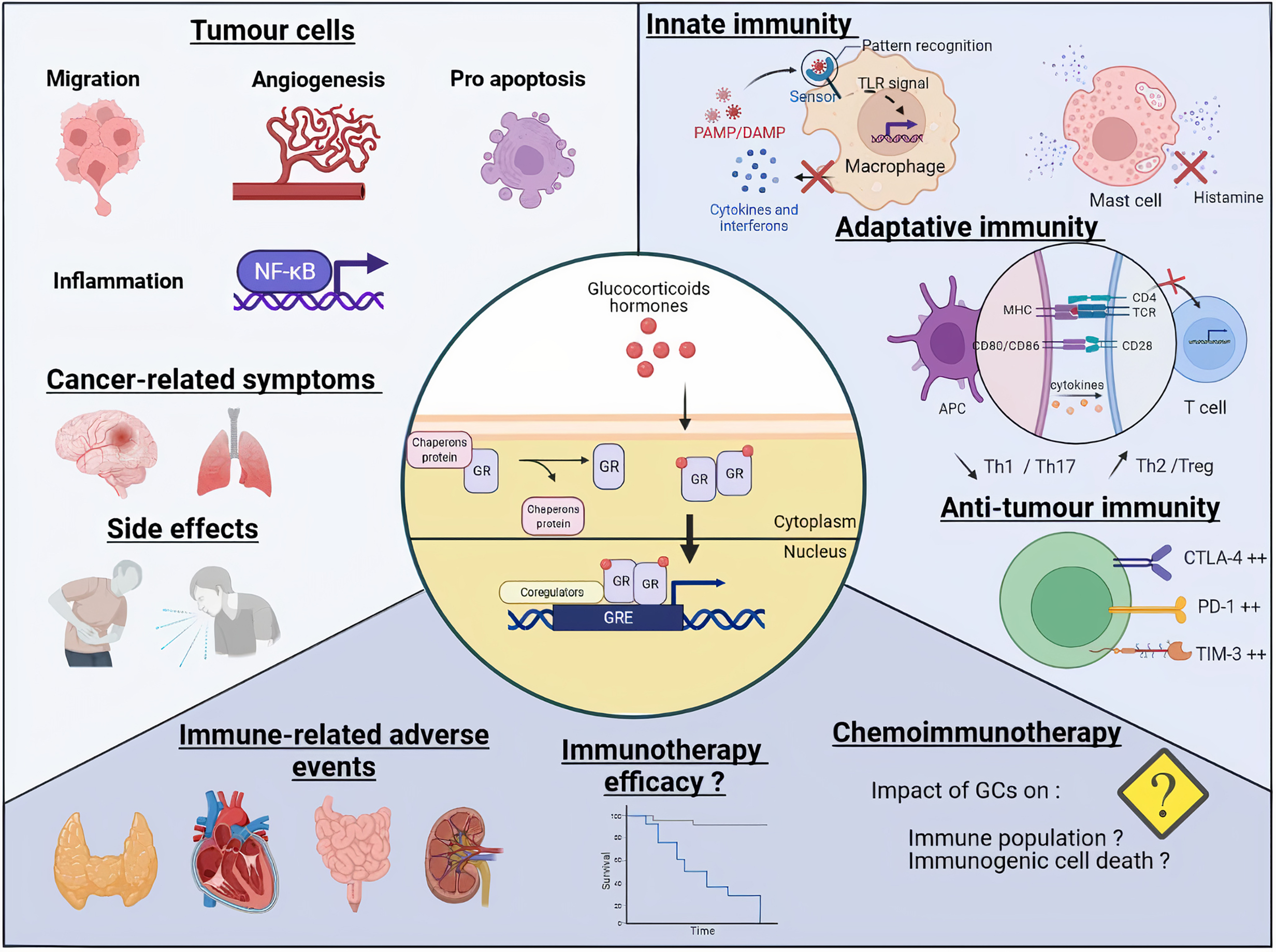 Full article: The Influence Mechanism of Abnormal Immunophilin