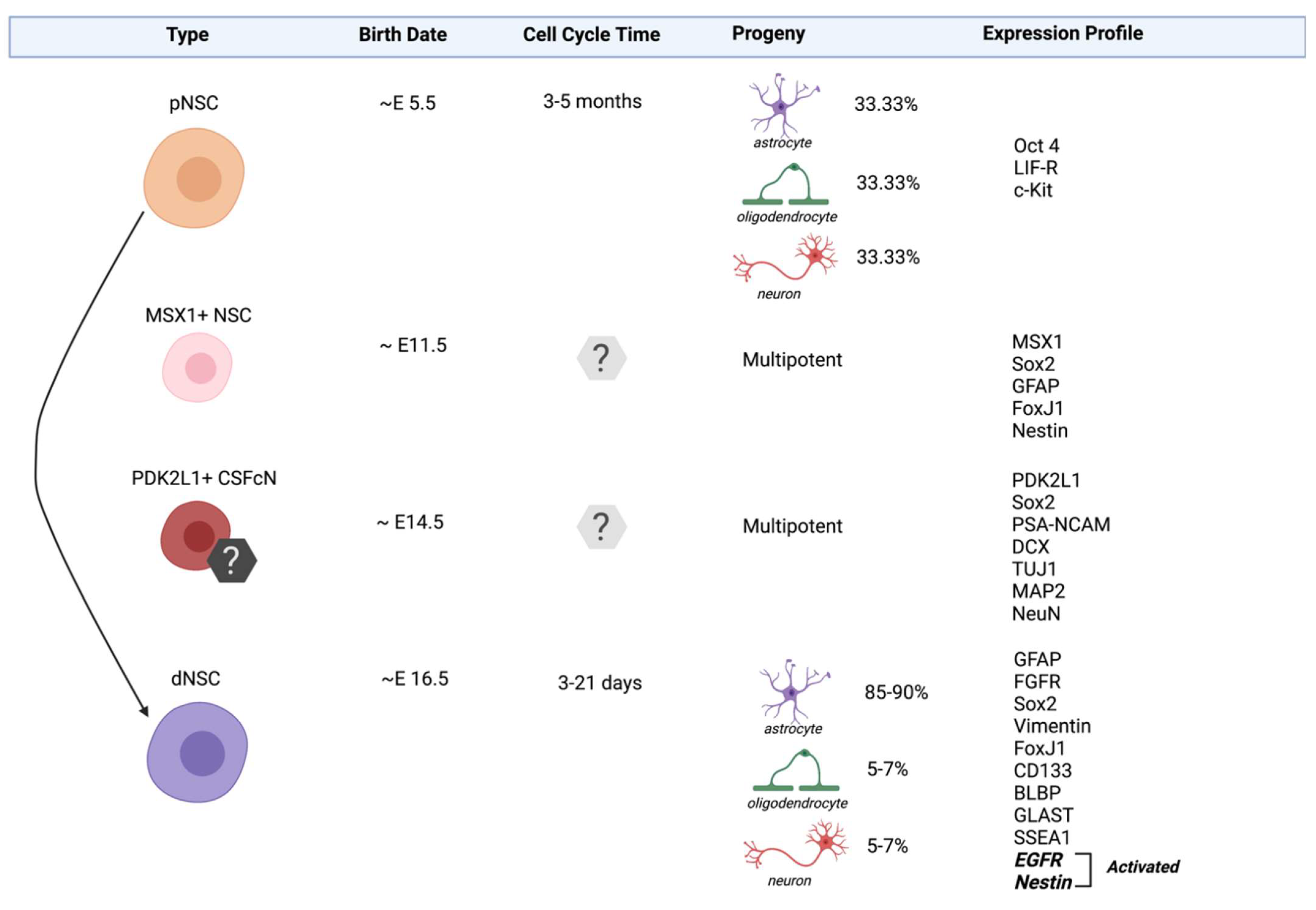 https://pub.mdpi-res.com/cells/cells-11-00846/article_deploy/html/images/cells-11-00846-g001.png?1646127989