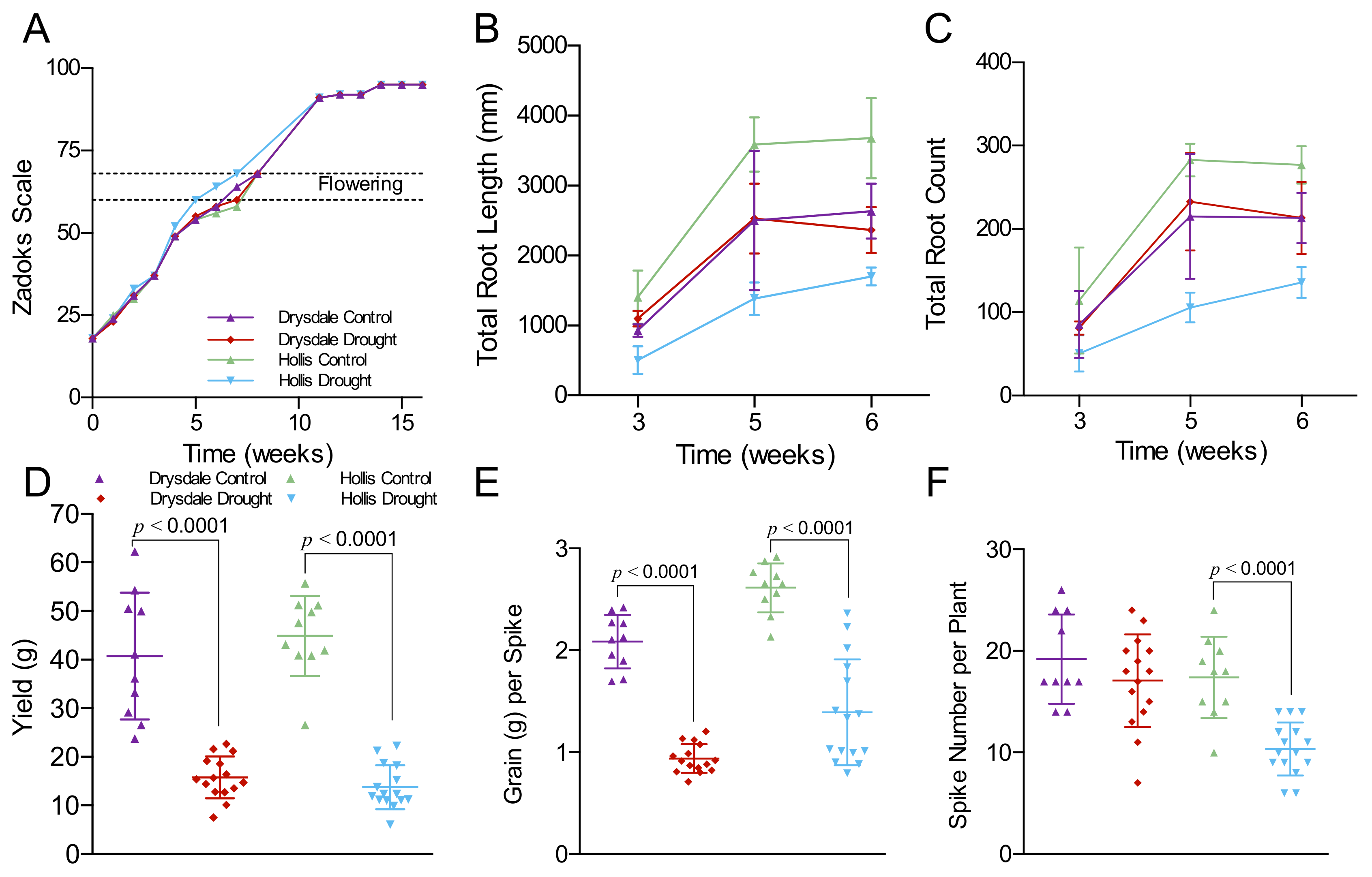 Cells Free Full Text Drought Tolerance Strategies and