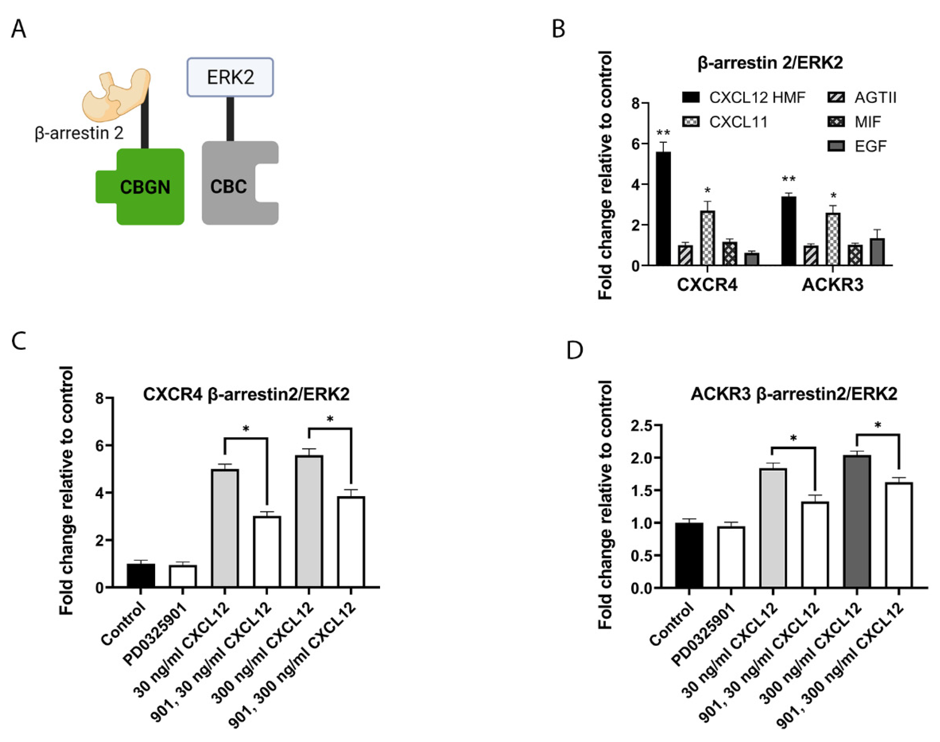 Cells | Free Full-Text | The CXCL12/CXCR4/ACKR3 Signaling Axis ...