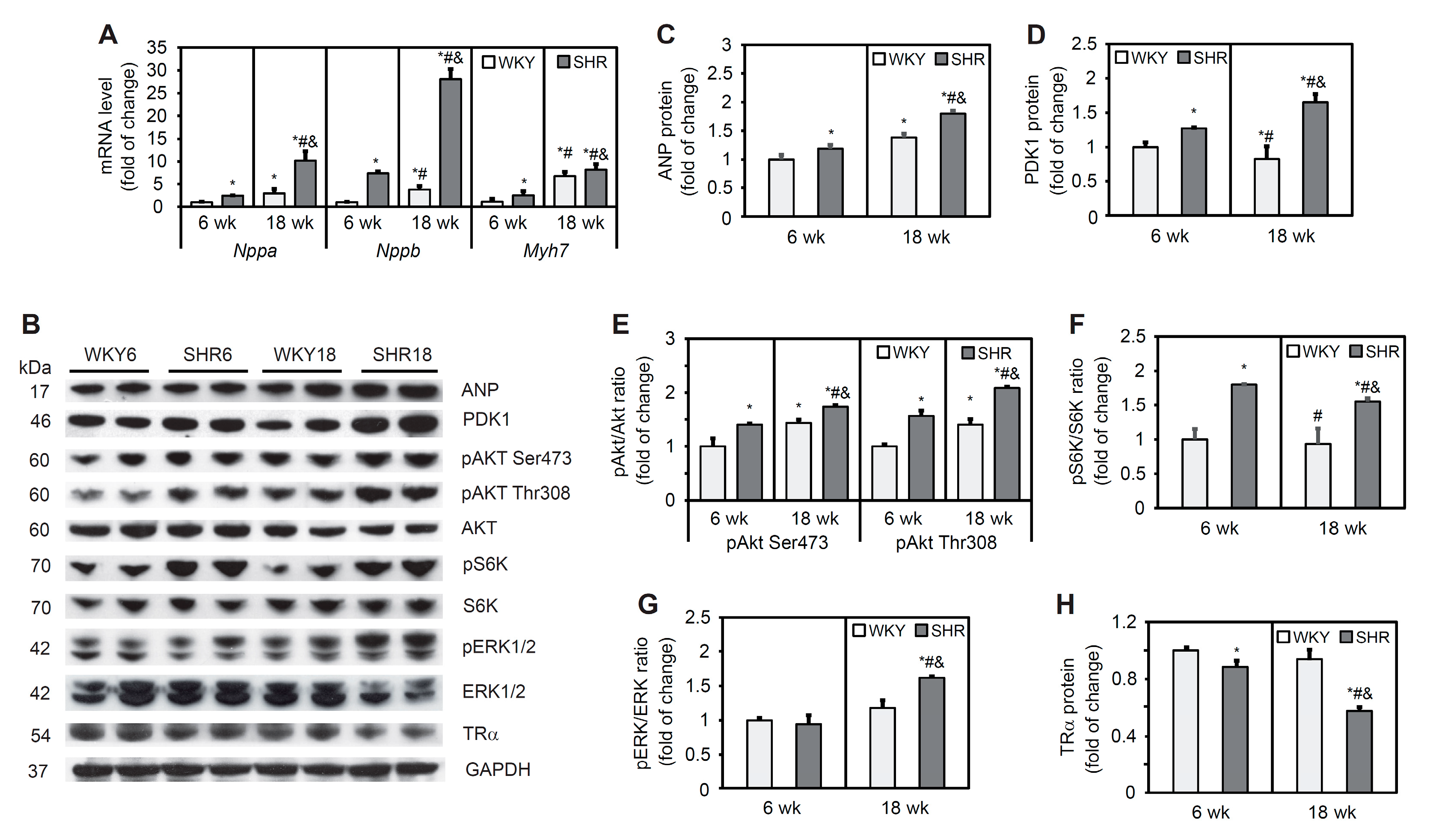 Cells | Free Full-Text | Alterations of Lipid Metabolism in the