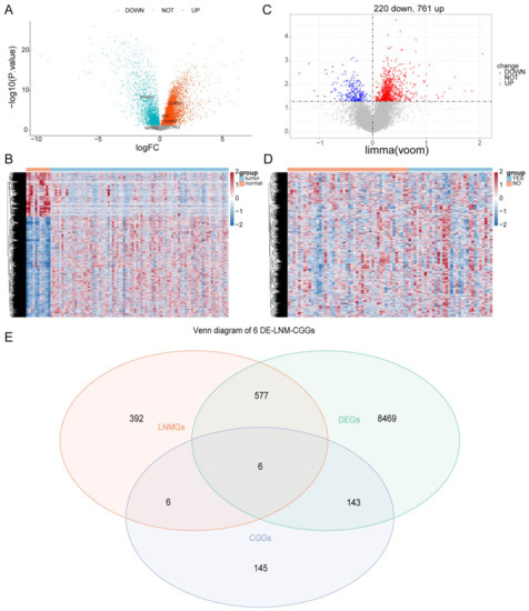 Construction and Evaluation of a Risk Score Model for Lymph Node ...
