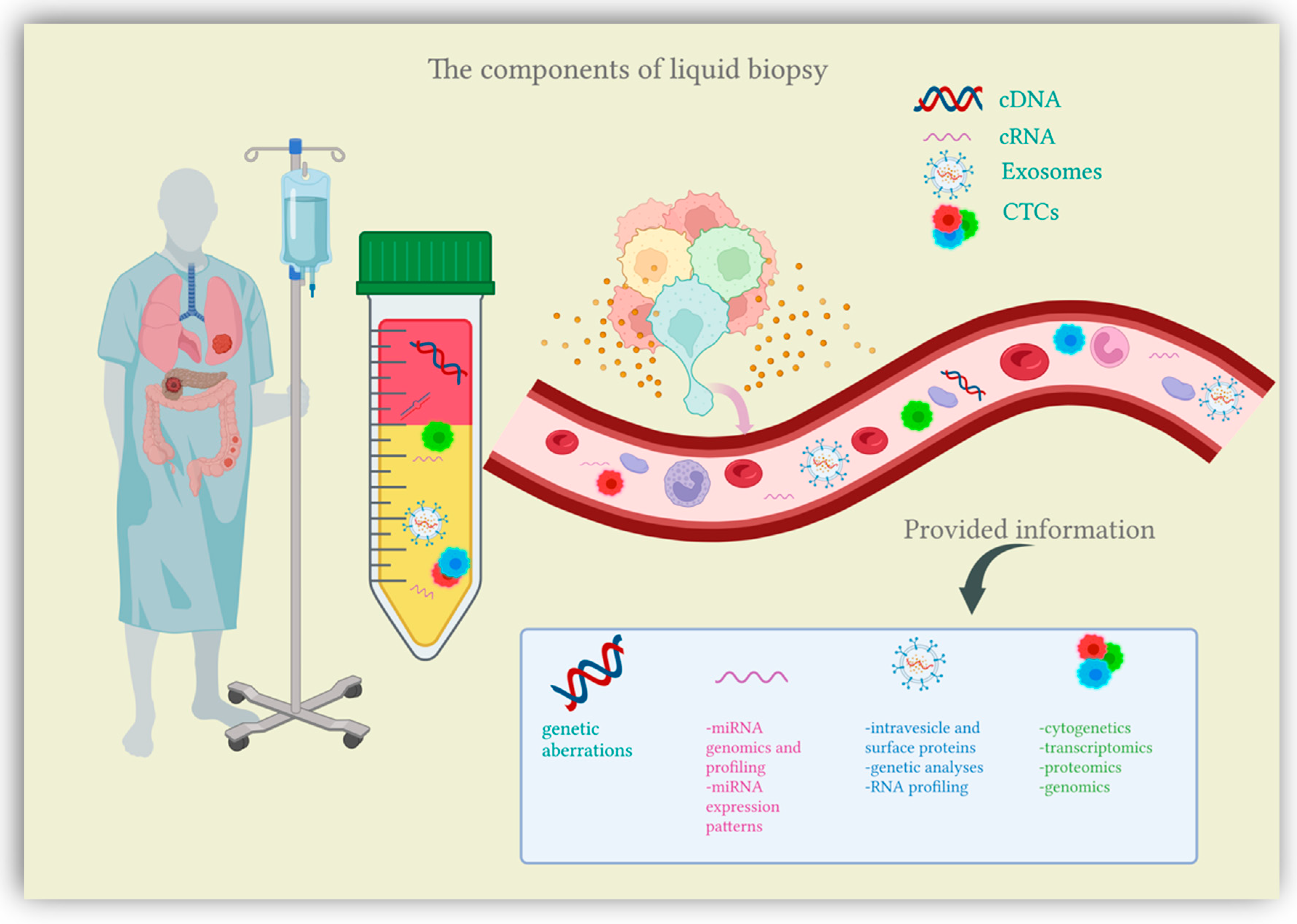Cells | Free Full-Text | Clinical Applications of Liquid Biopsy in 